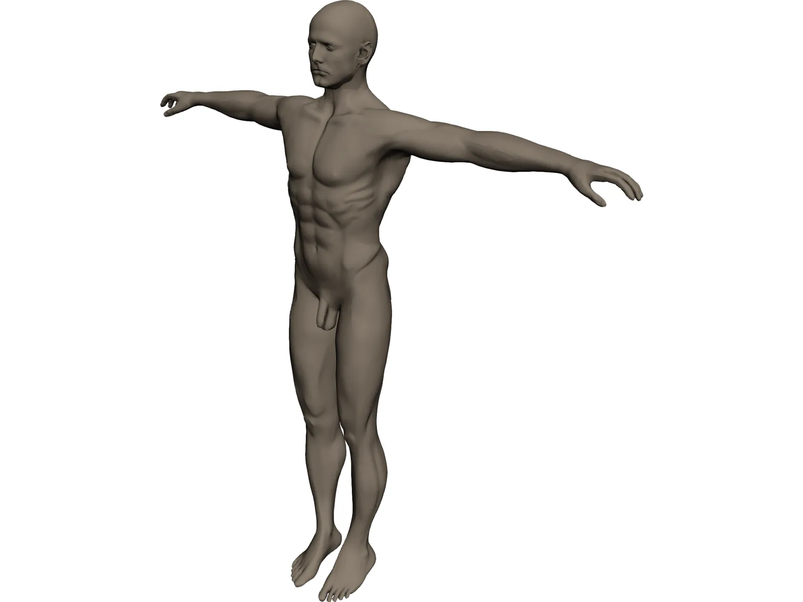 Man 3D Model main preview