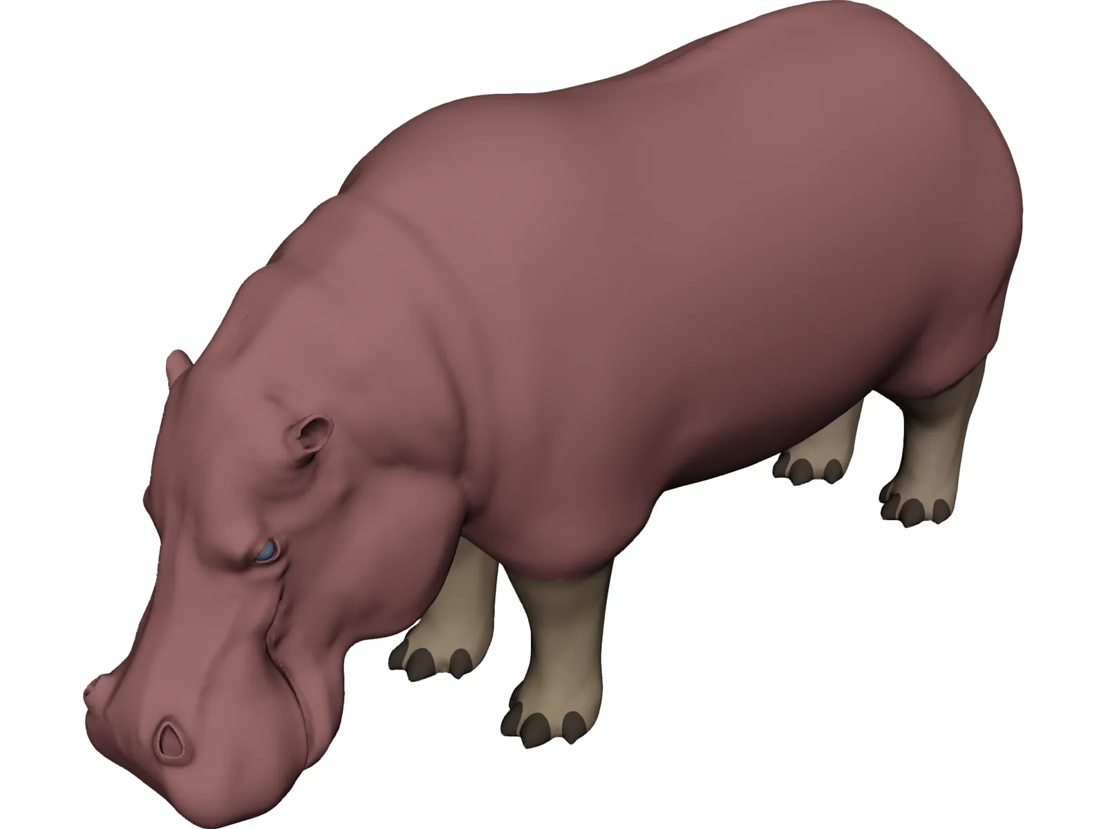 Hippopotamus 3D Model main preview