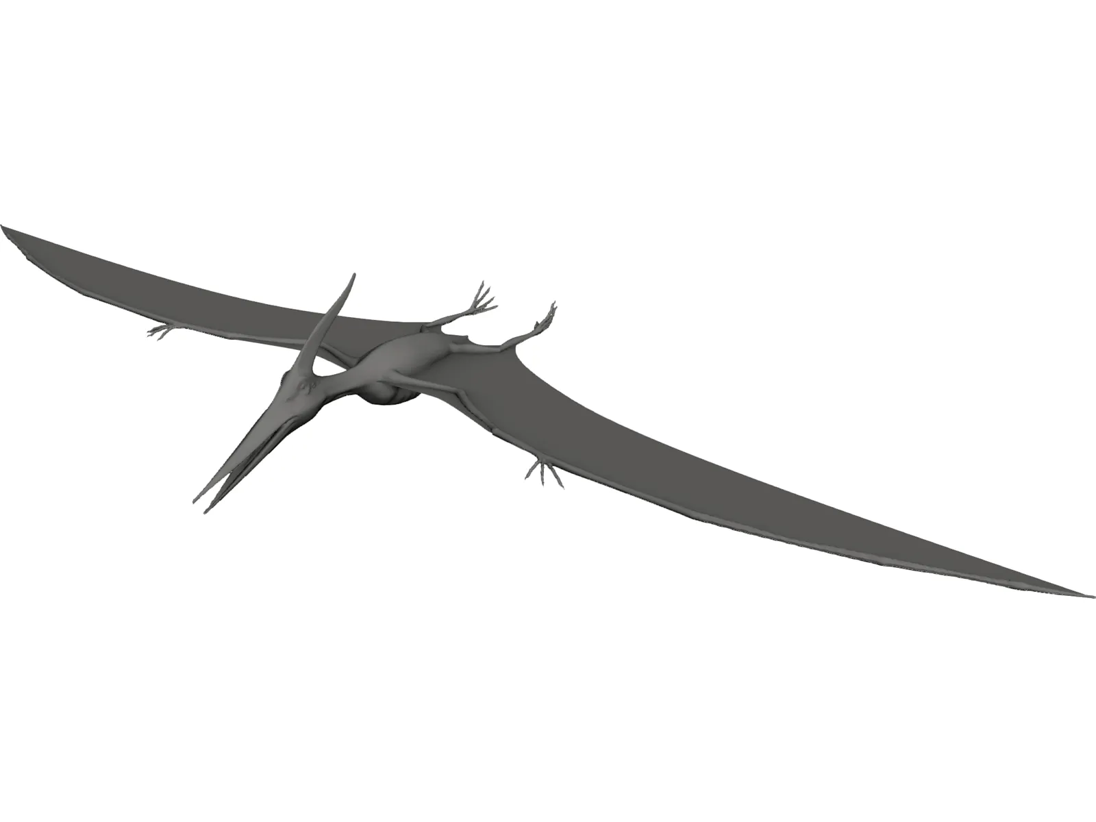 Pteranodon Ingens 3D Model main preview