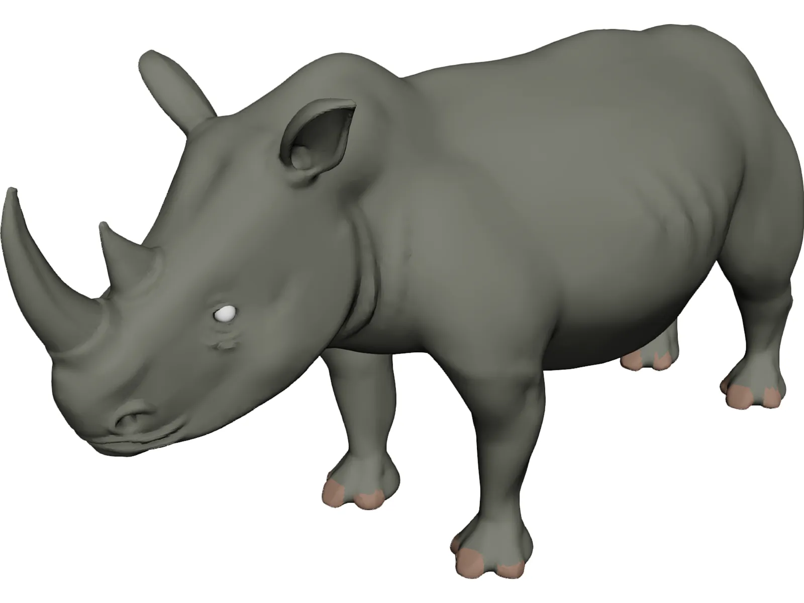 Rhinoceros 3D Model main preview