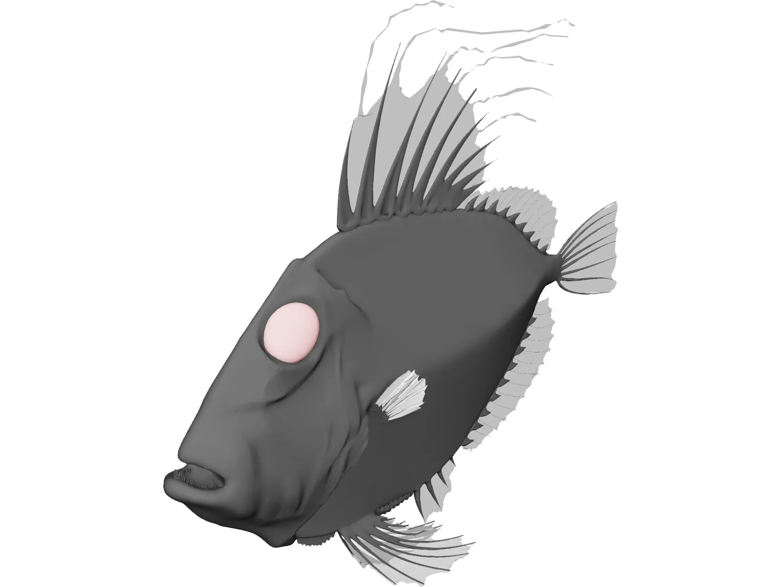 San Peters Fish 3D Model main preview