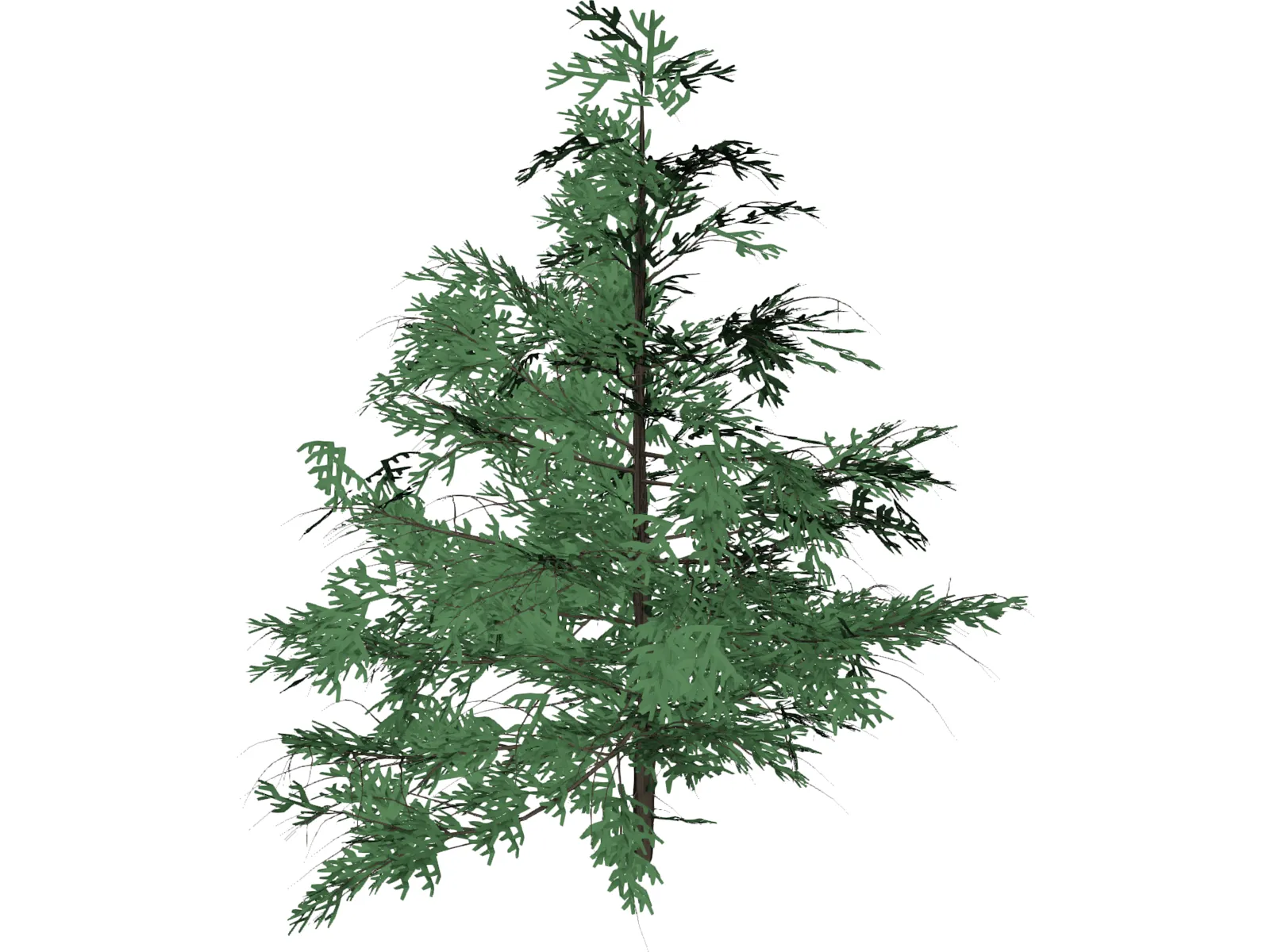 False Golden Larch 3D Model main preview