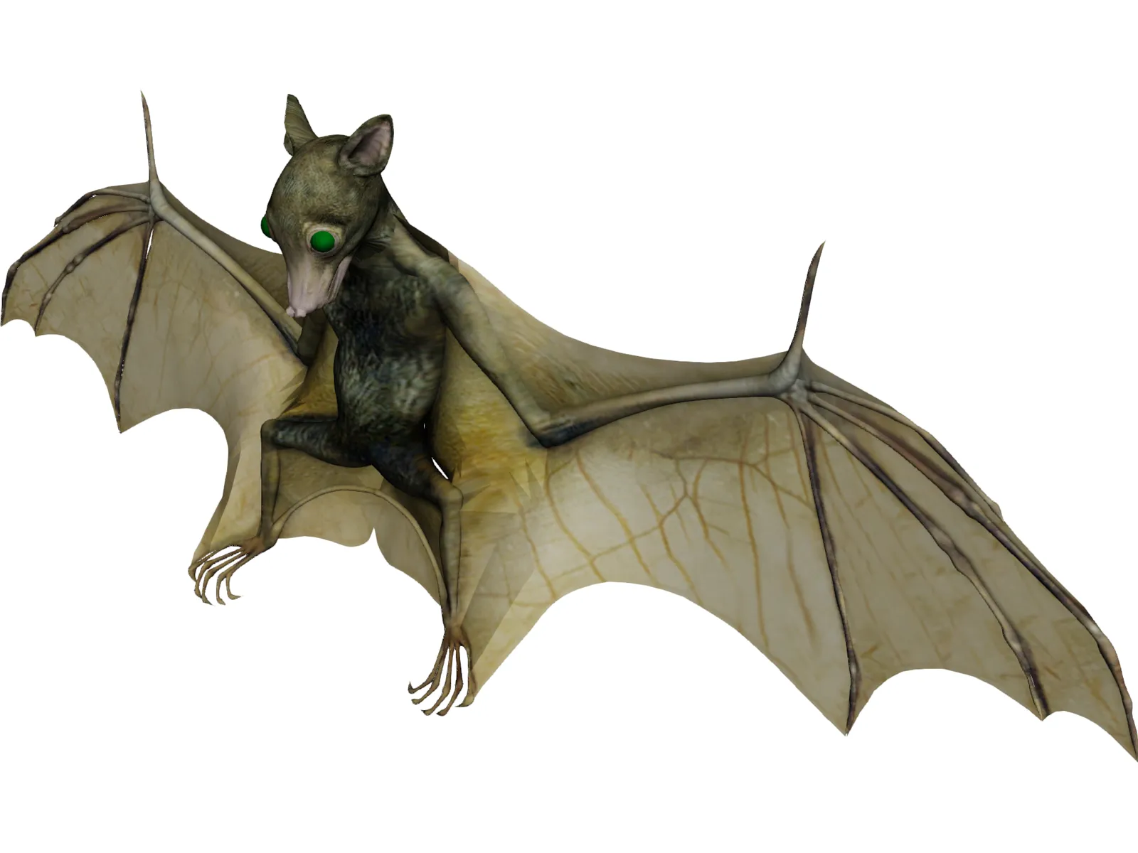 Bat 3D Model main preview