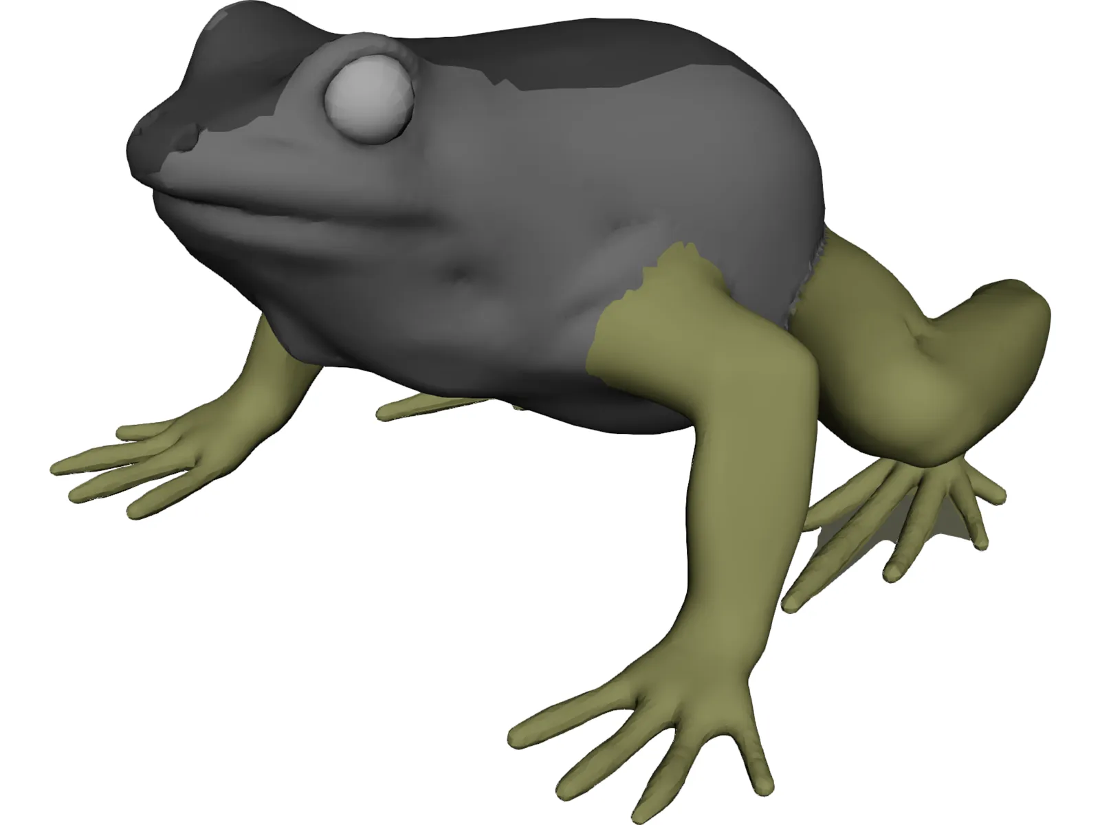 Frog 3D Model main preview