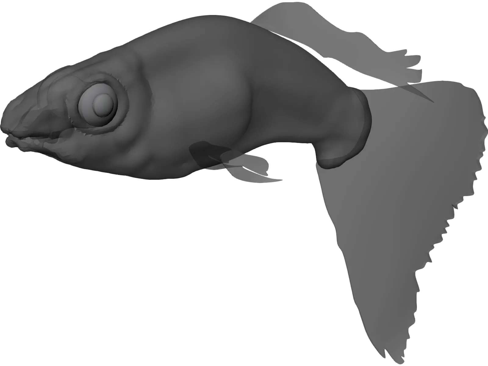 Guppy 3D Model main preview