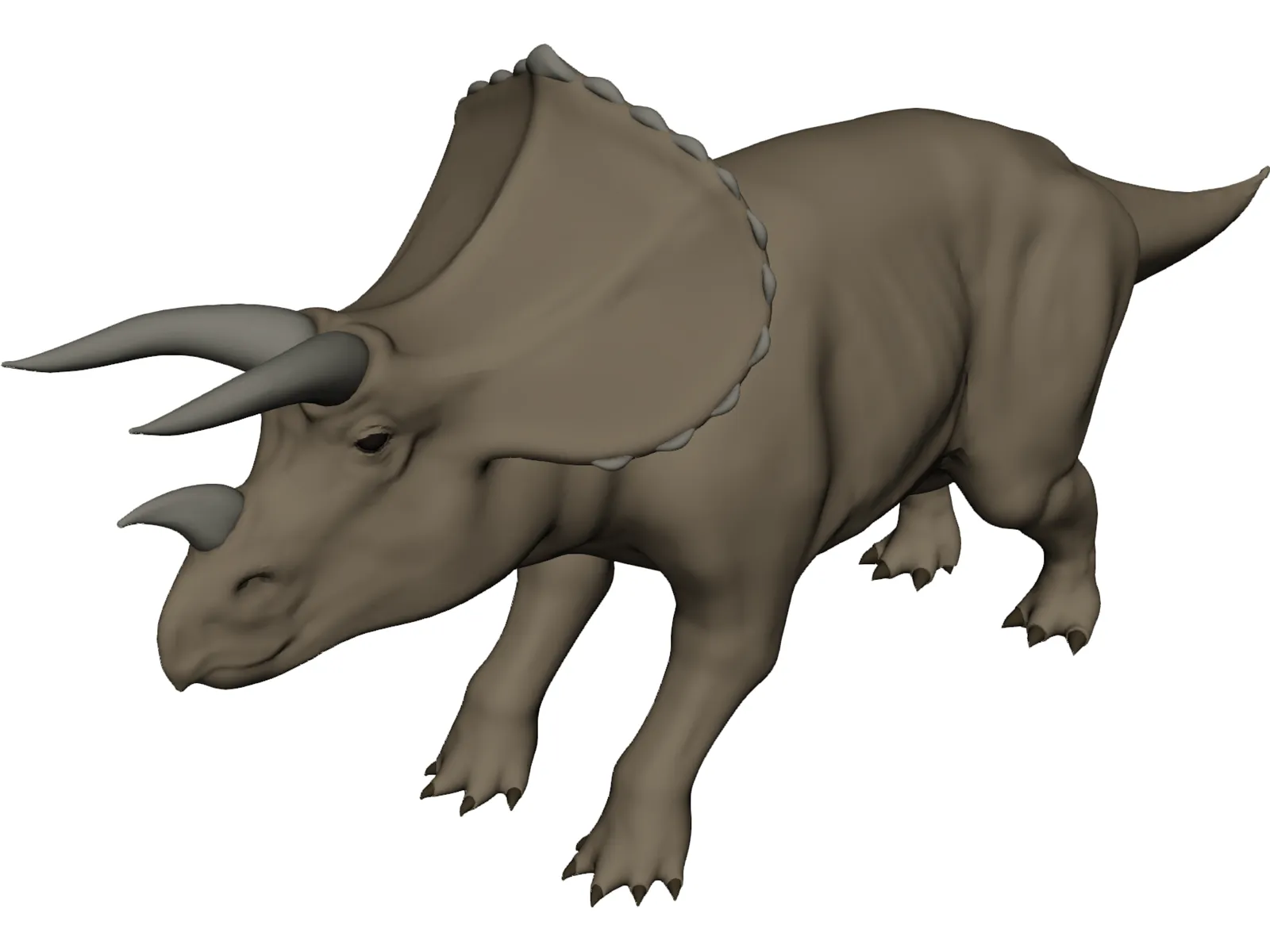 Triceratops 3D Model main preview