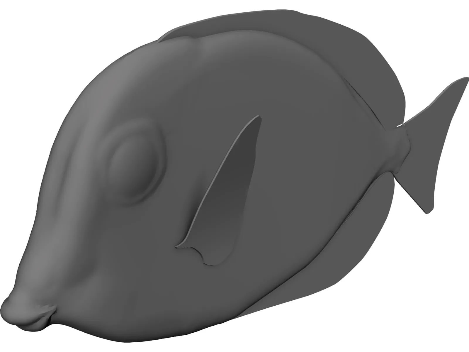 Amblyrhyncotes 3D Model main preview