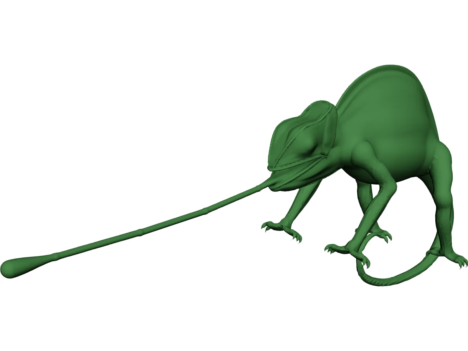 Chamaleon 3D Model main preview