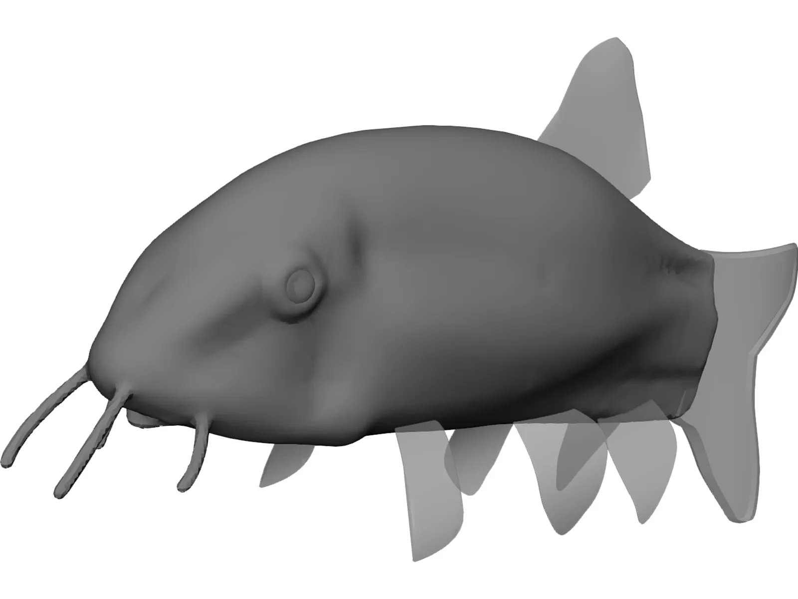 Clownfish 3D Model main preview