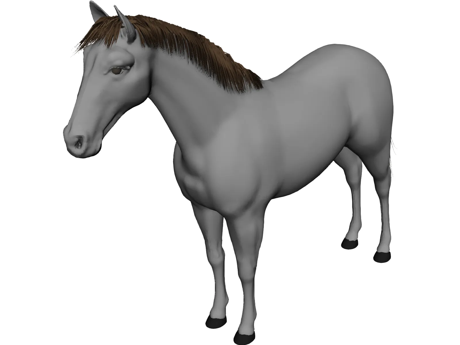 Horse 3D Model main preview