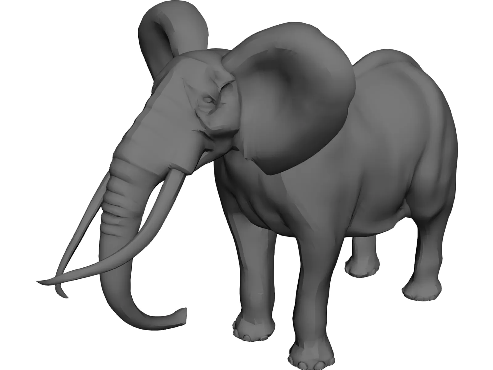 Elephant 3D Model main preview