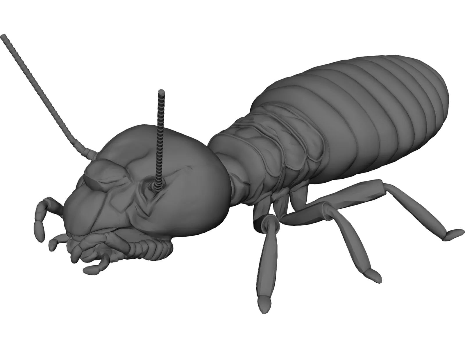 Termite 3D Model main preview