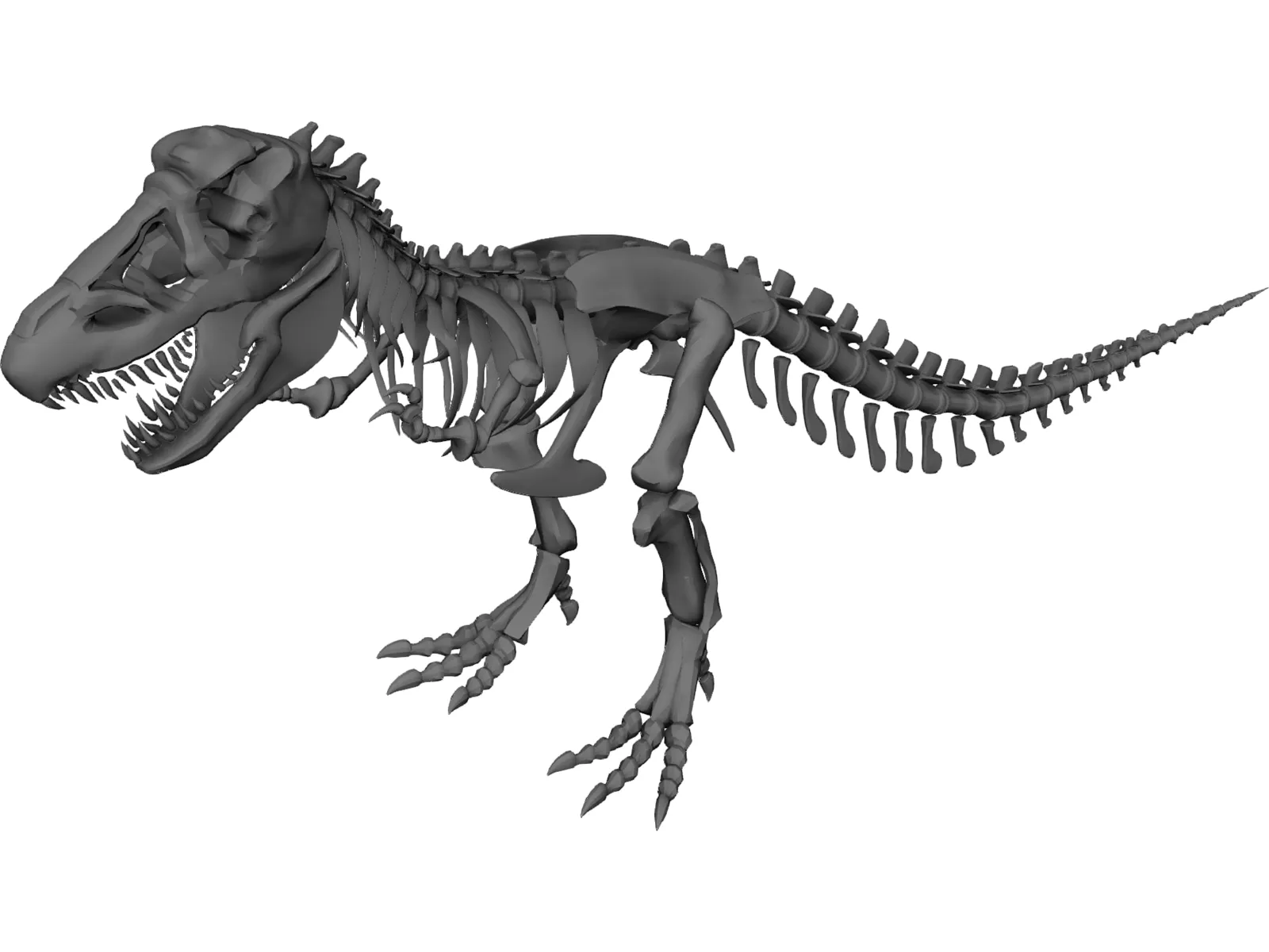 Tyrannosaurus Rex Skeleton 3D Model main preview