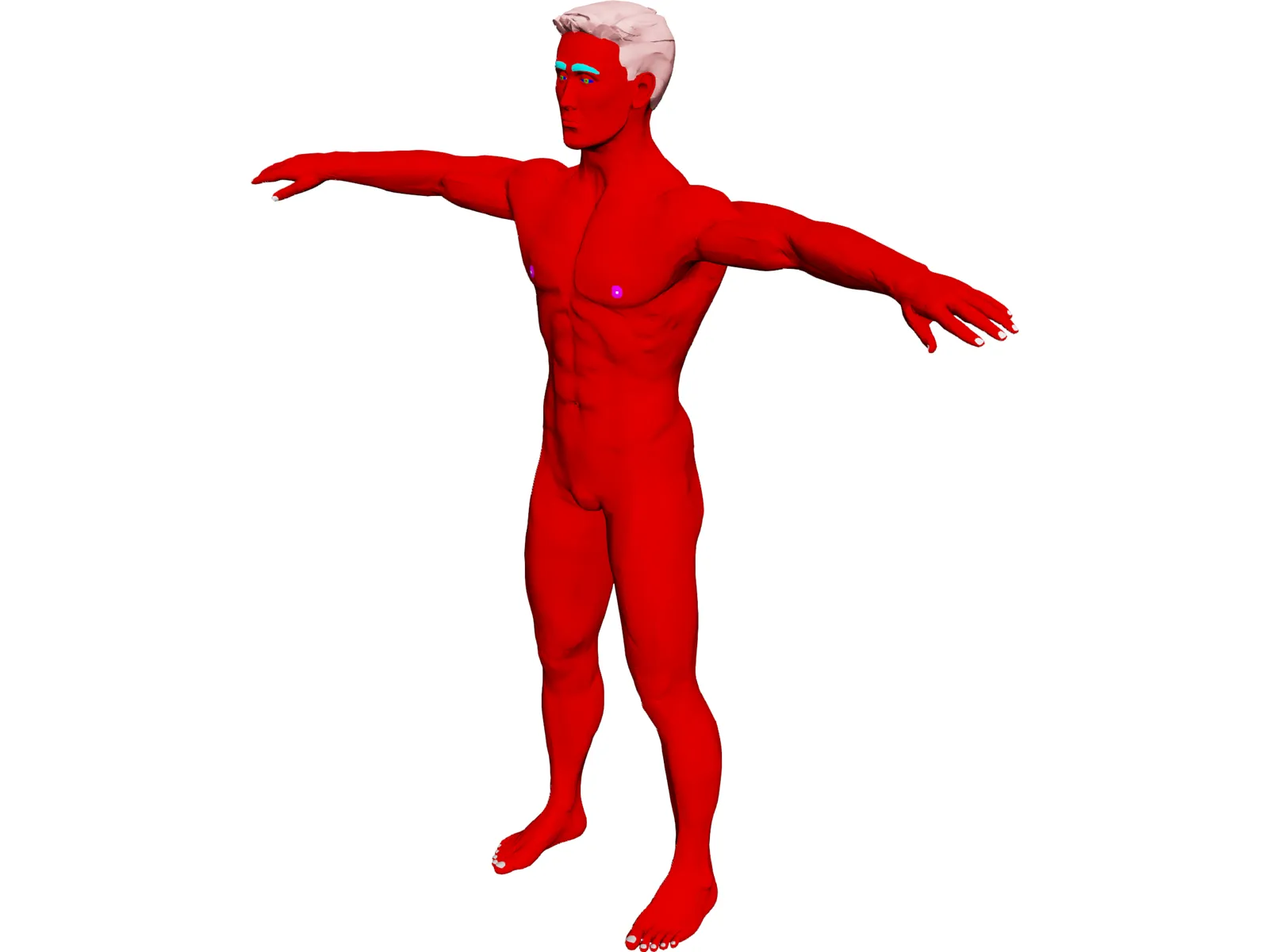 Man 3D Model main preview