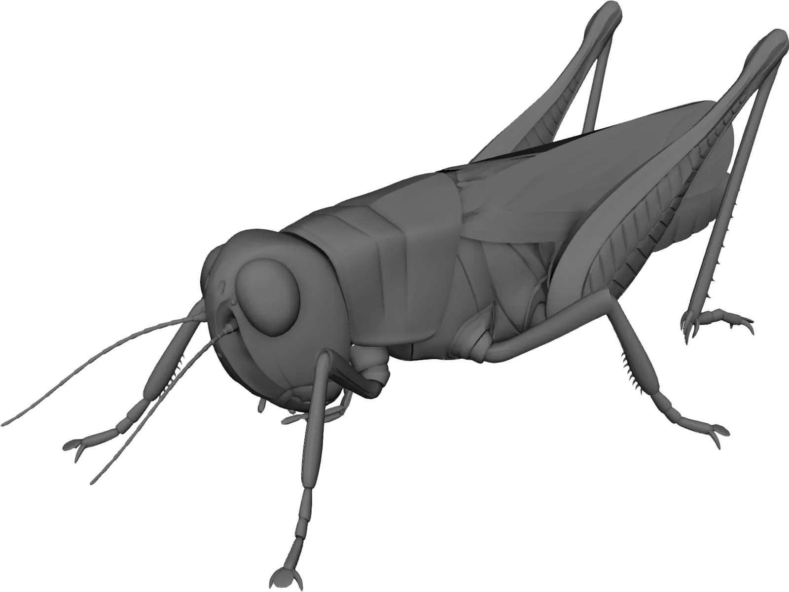 Grasshopper 3D Model main preview