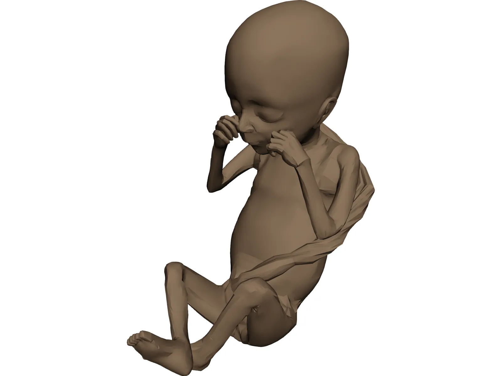 Fetus 3D Model main preview