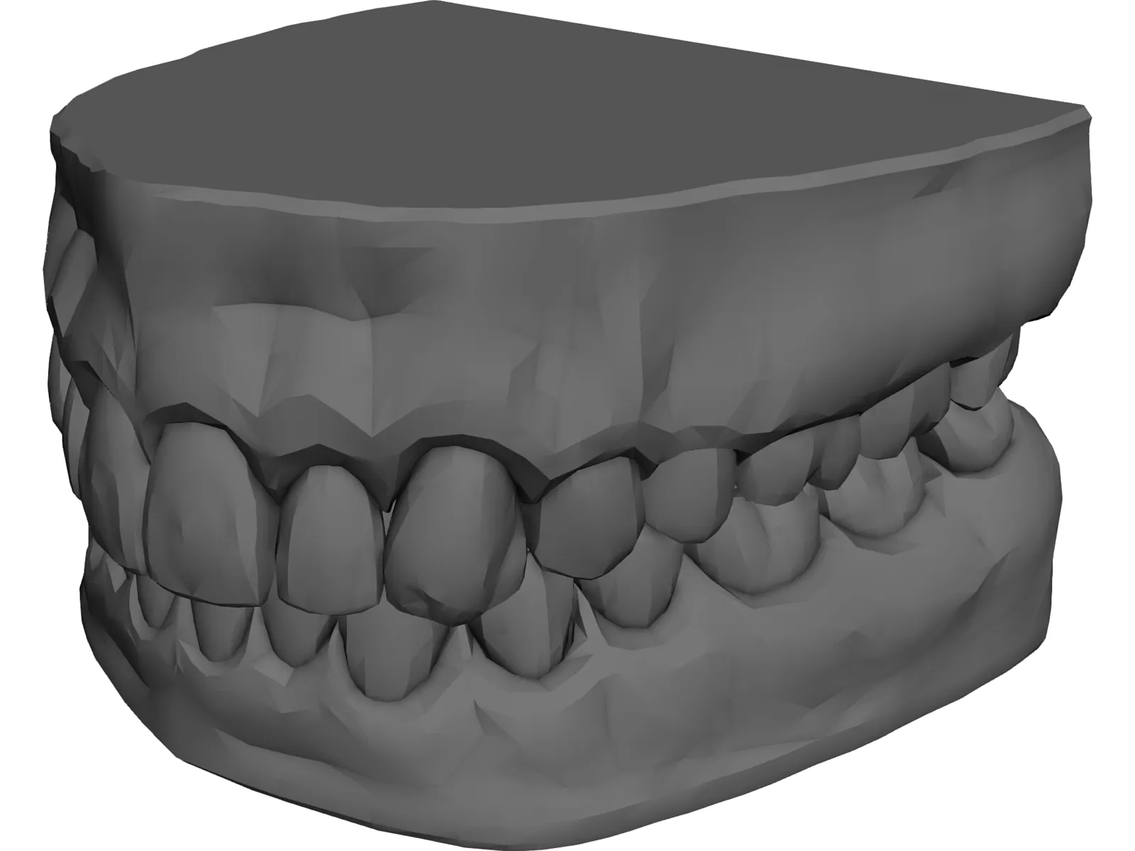 Teeth and Gums 3D Model main preview