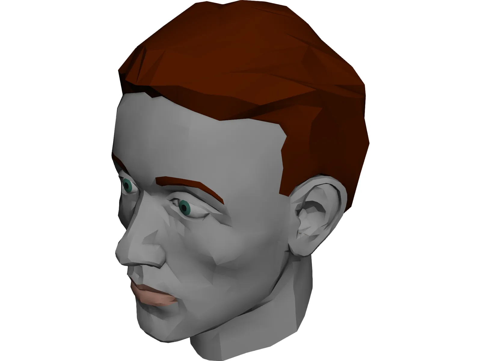 Face Muscles And Head 3D Model main preview