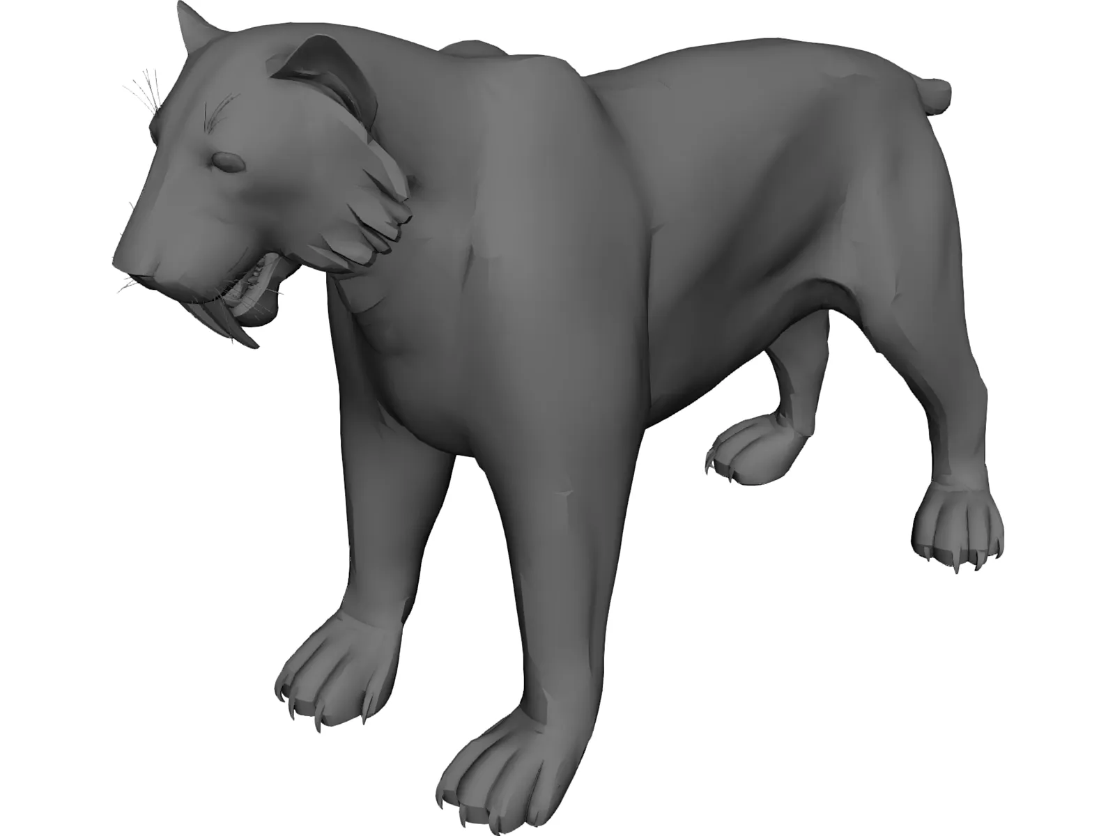 Tiger Saber Tooth 3D Model main preview