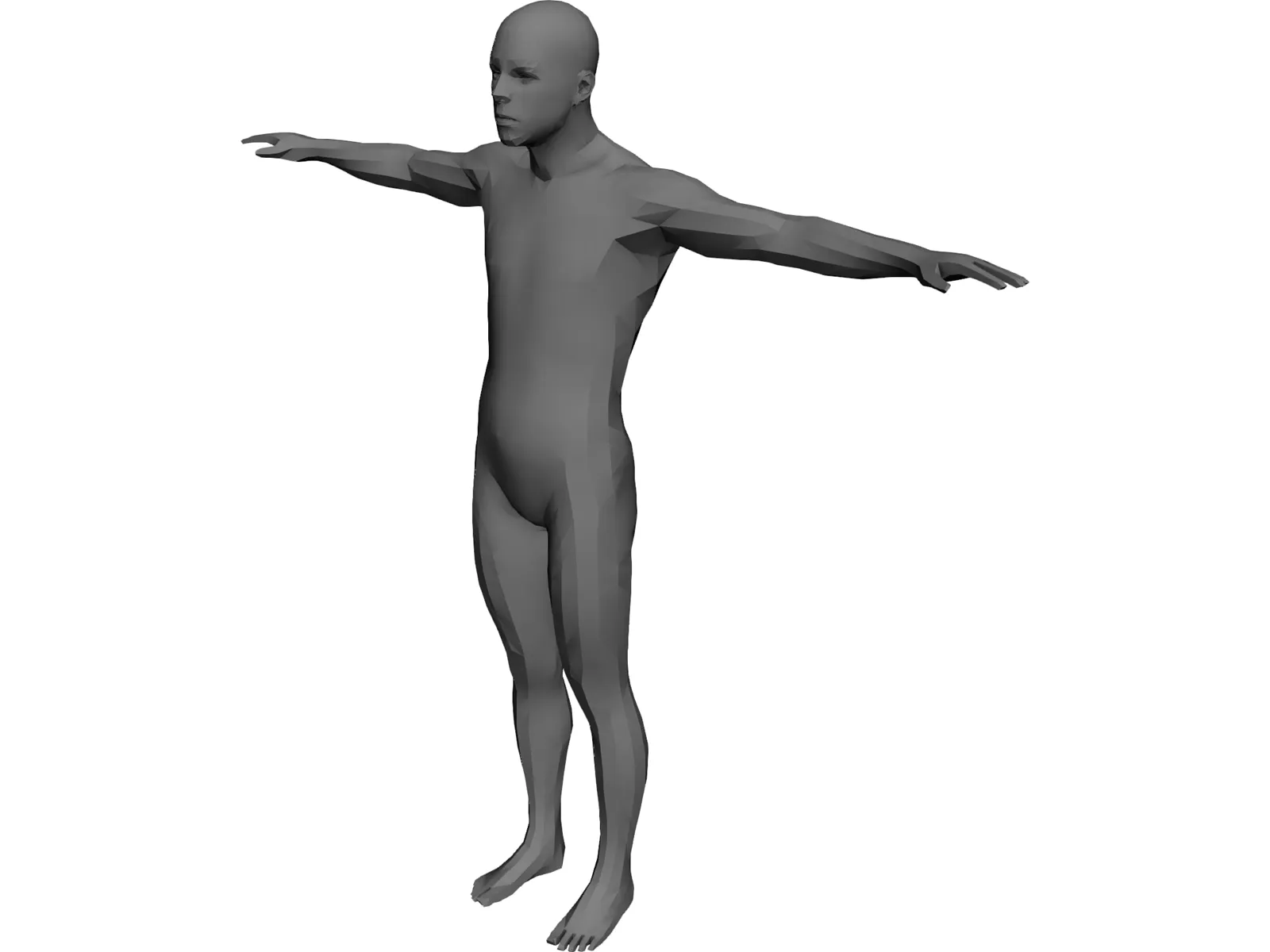 Human Body Male 3D Model main preview