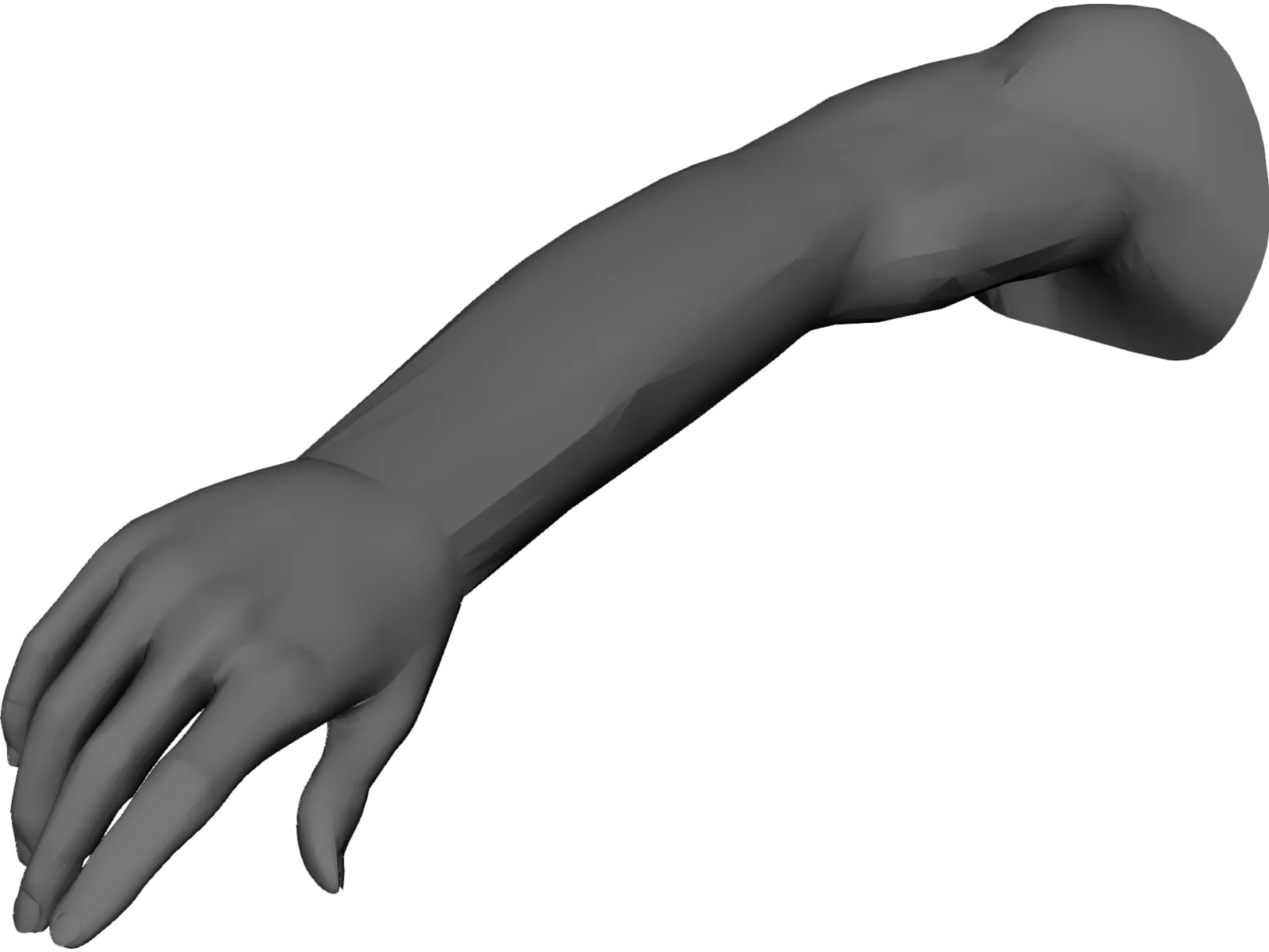 Arm Male 3D Model main preview