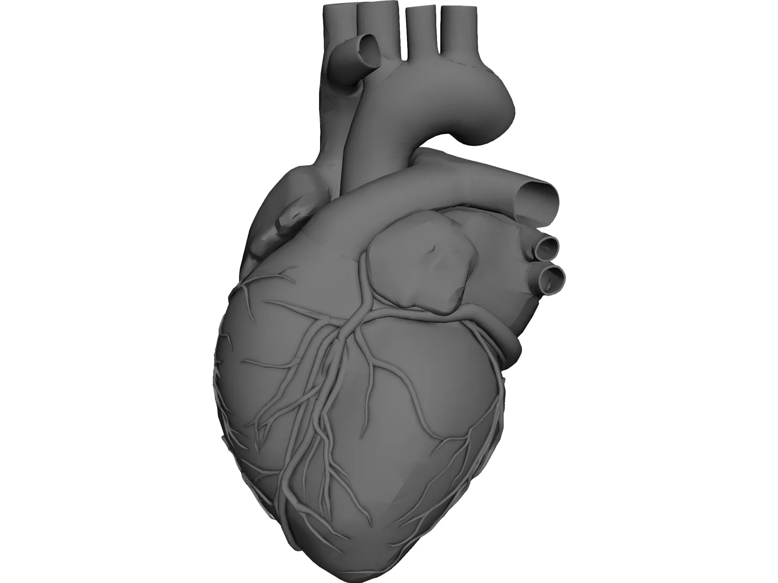 Heart 3D Model main preview