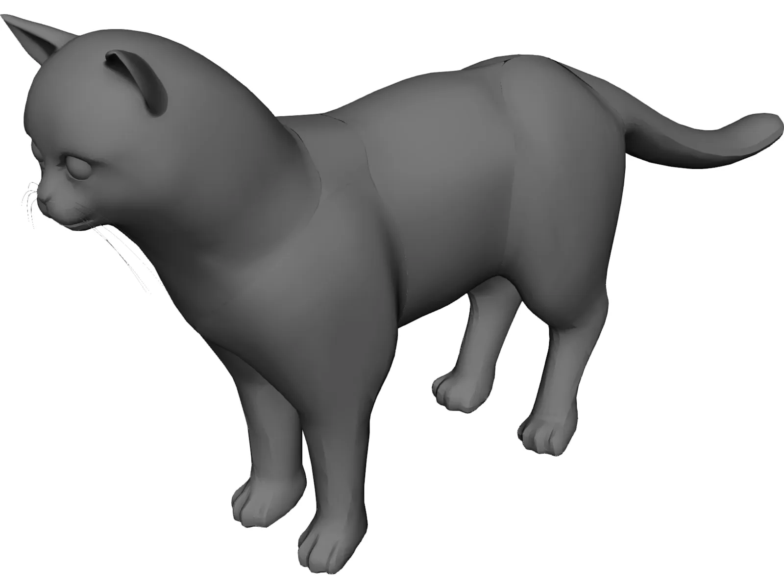 Cat 3D Model main preview