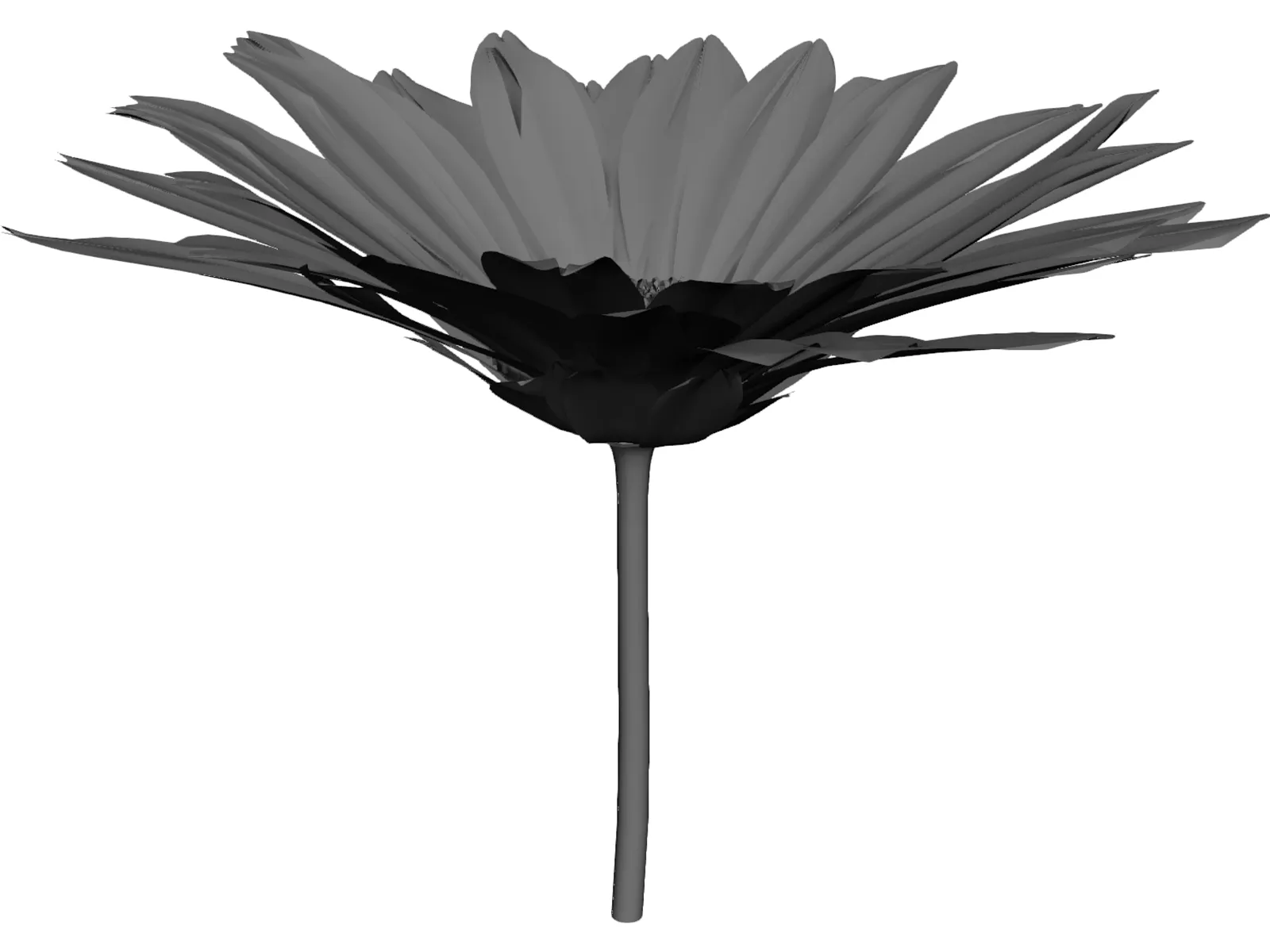 Daisy 3D Model main preview