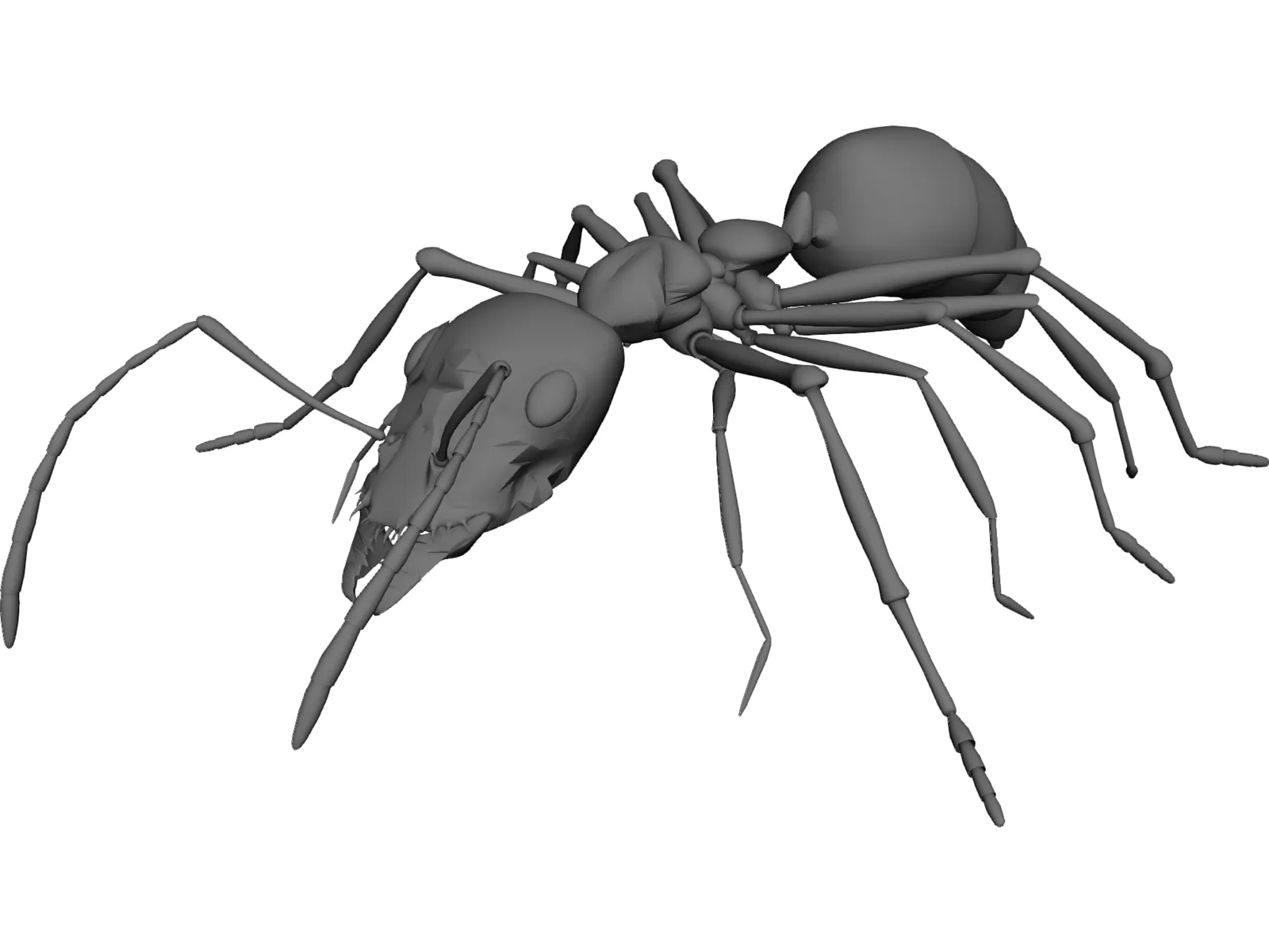 Ant 3D Model main preview