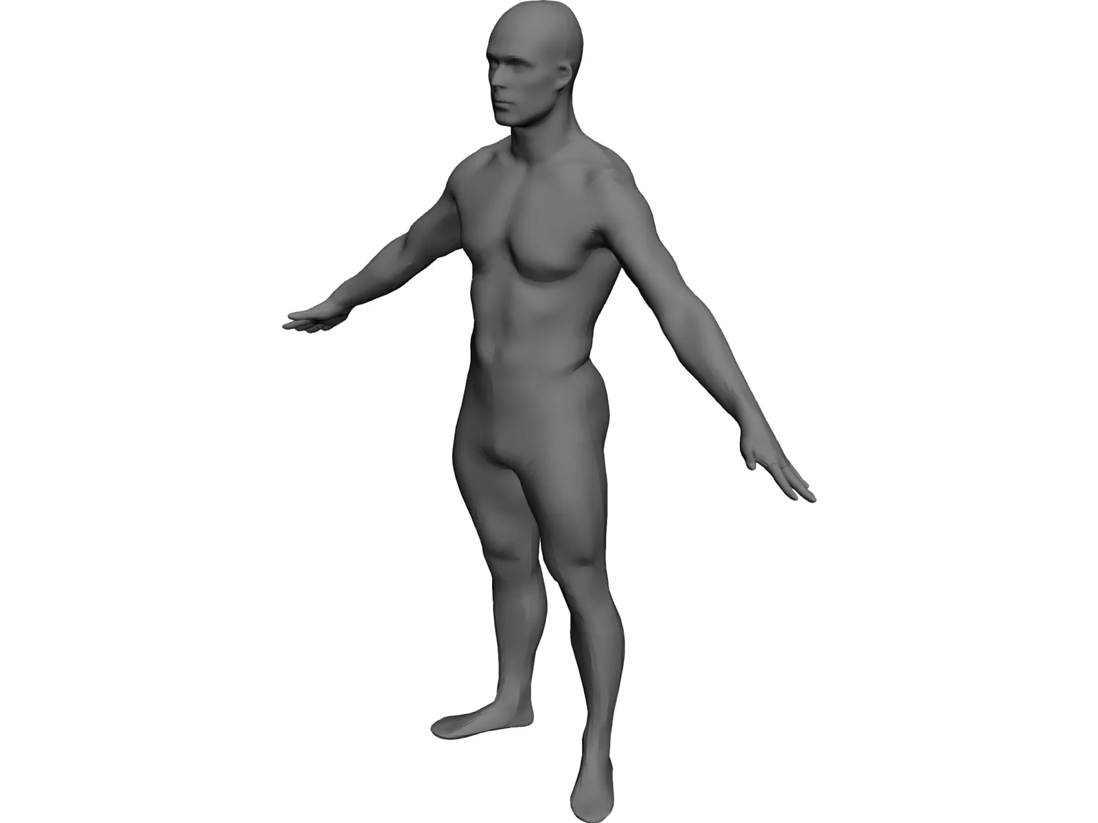 Man European 3D Model main preview