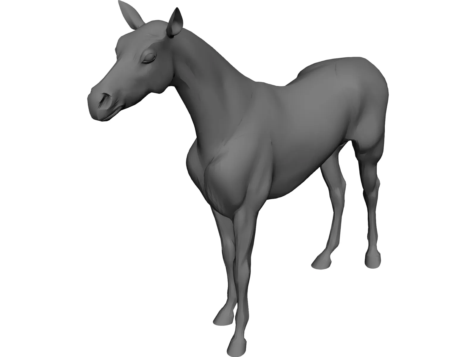 Horse 3D Model main preview