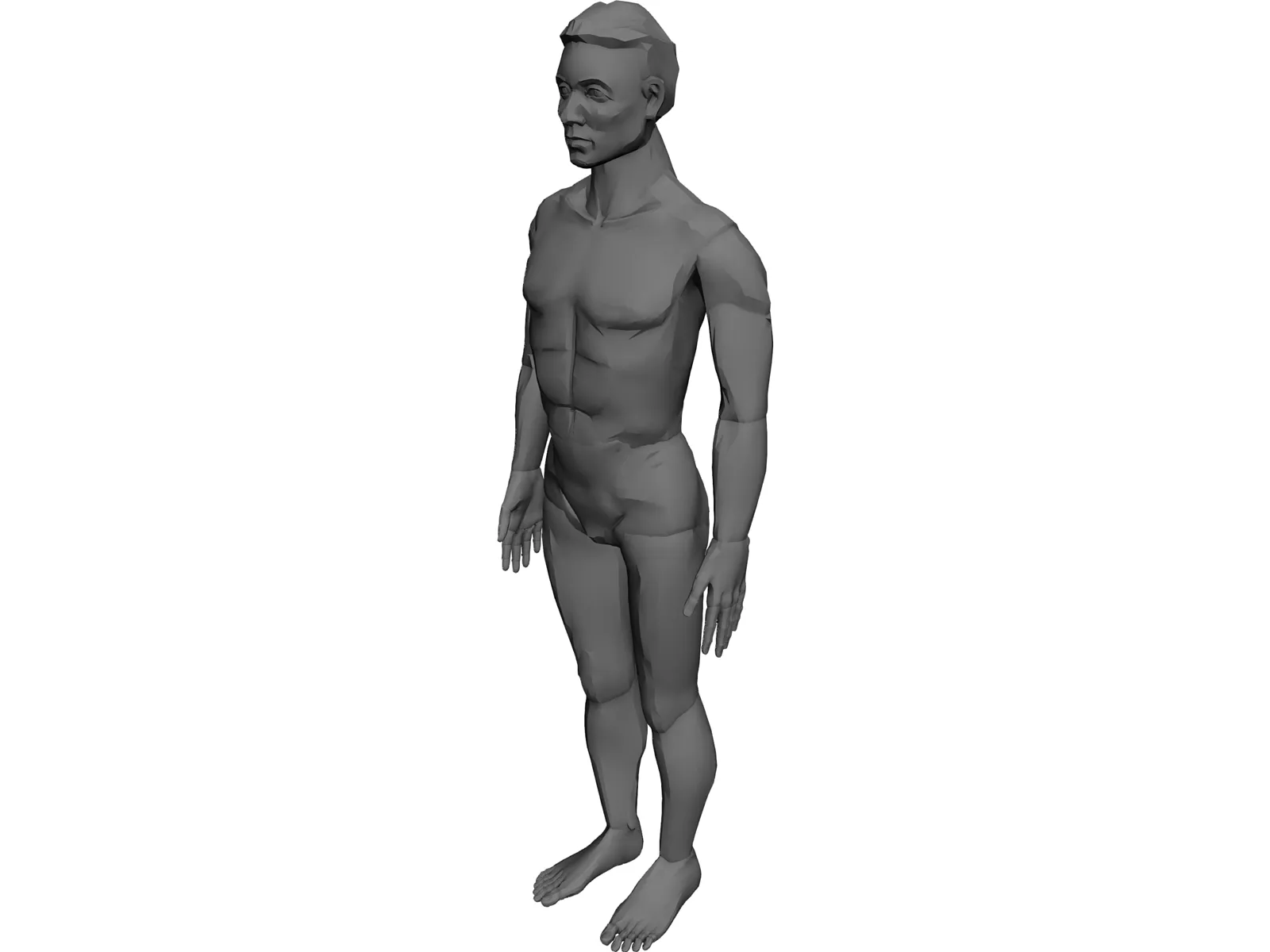 Man 3D Model main preview