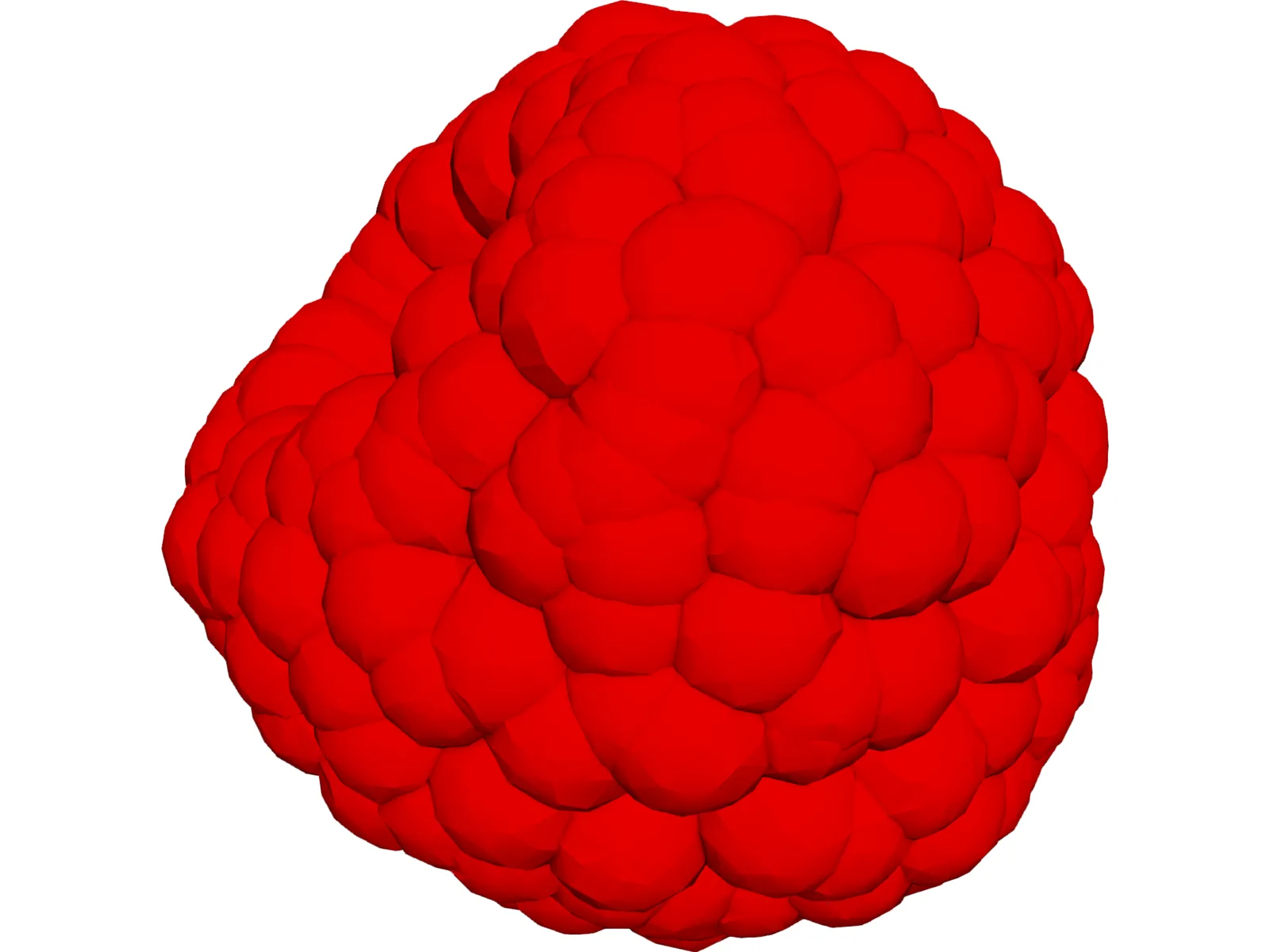 Raspberry 3D Model main preview