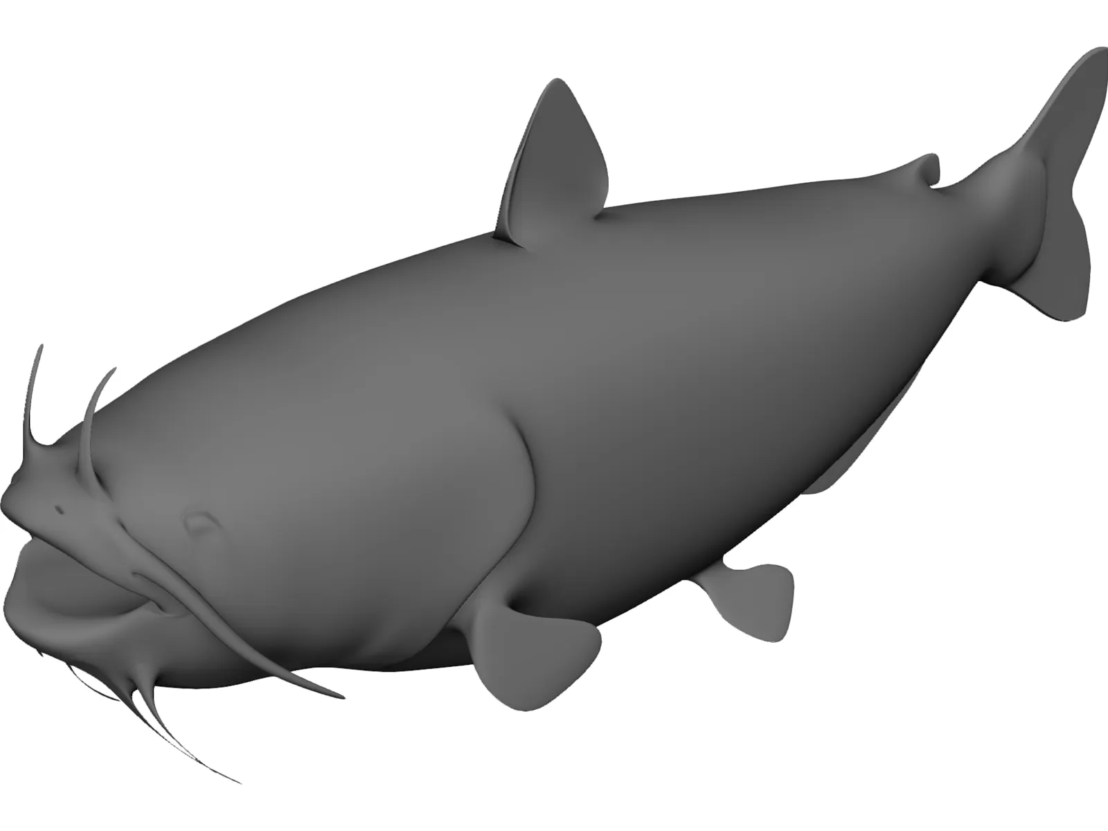 Blue Catfish 3D Model main preview