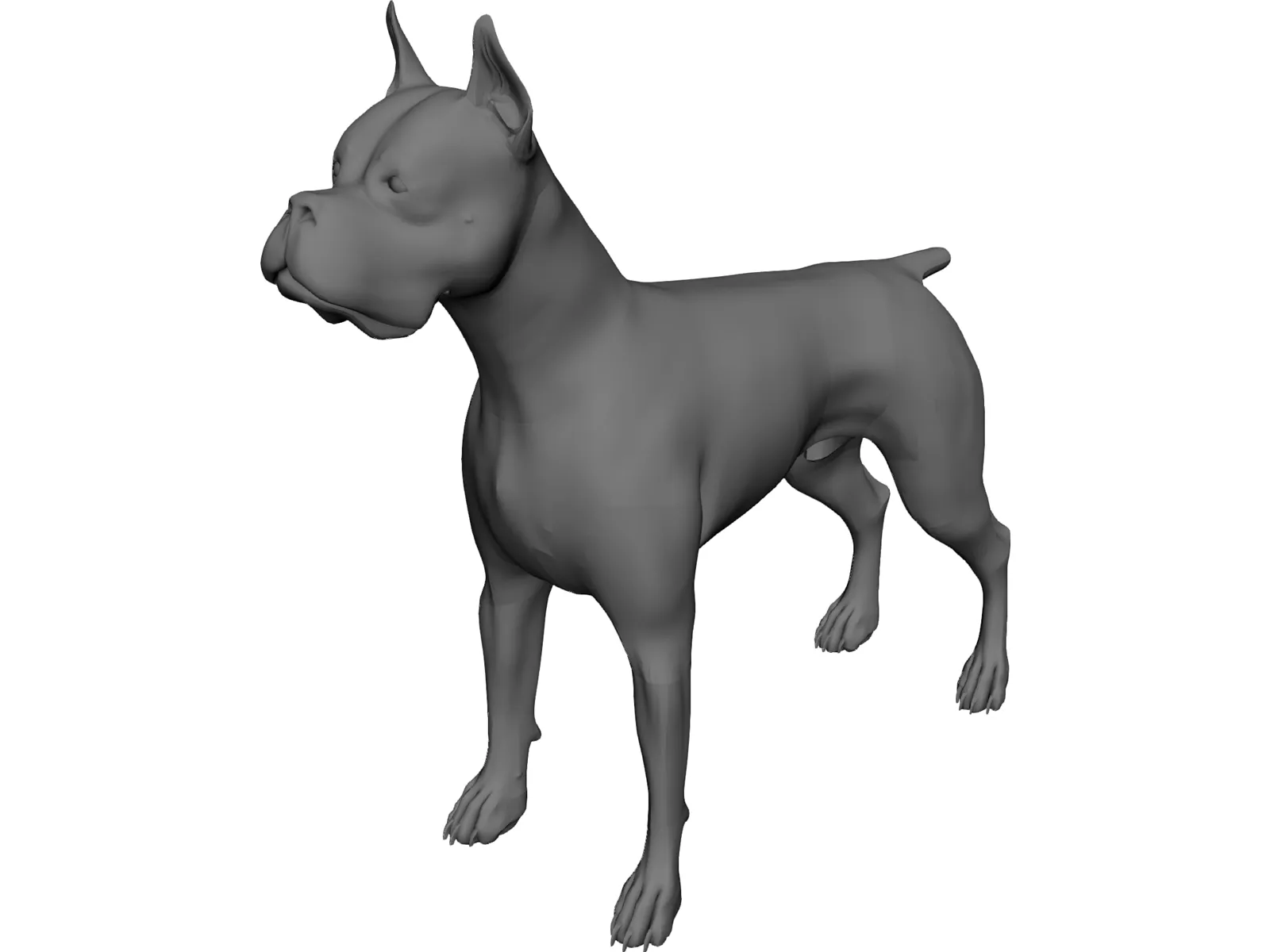 Dog Boxer 3D Model main preview