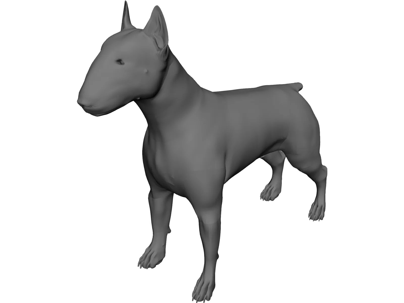 Dog Bull Terrier 3D Model main preview