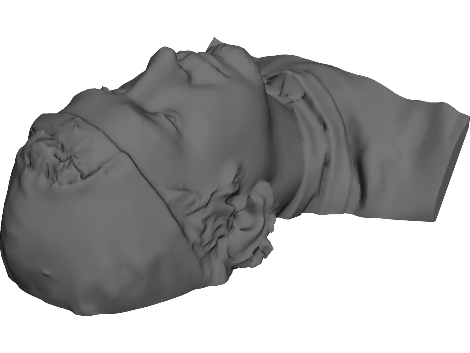 Face Human Digitalized 3D Model main preview
