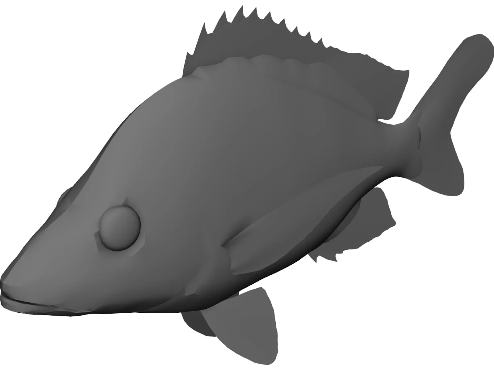 John Dory Type Fish 3D Model main preview