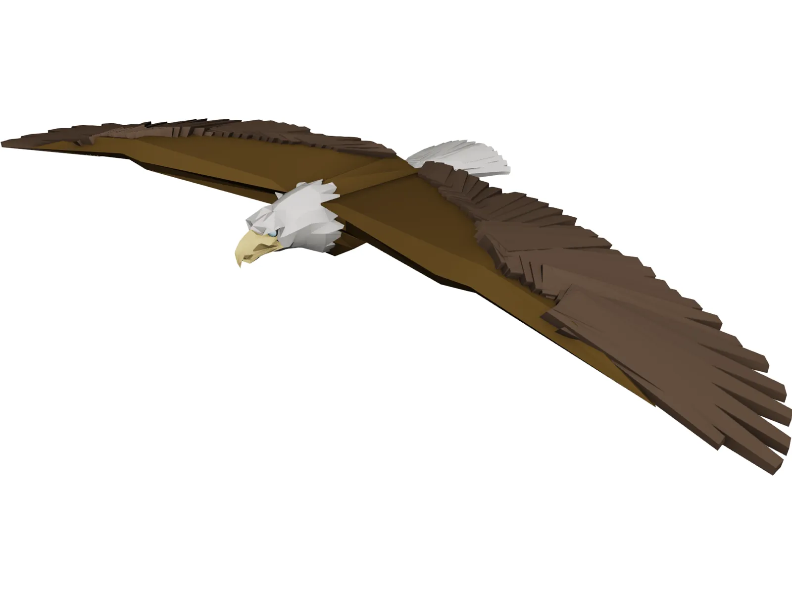 Bald Eagle 3D Model main preview
