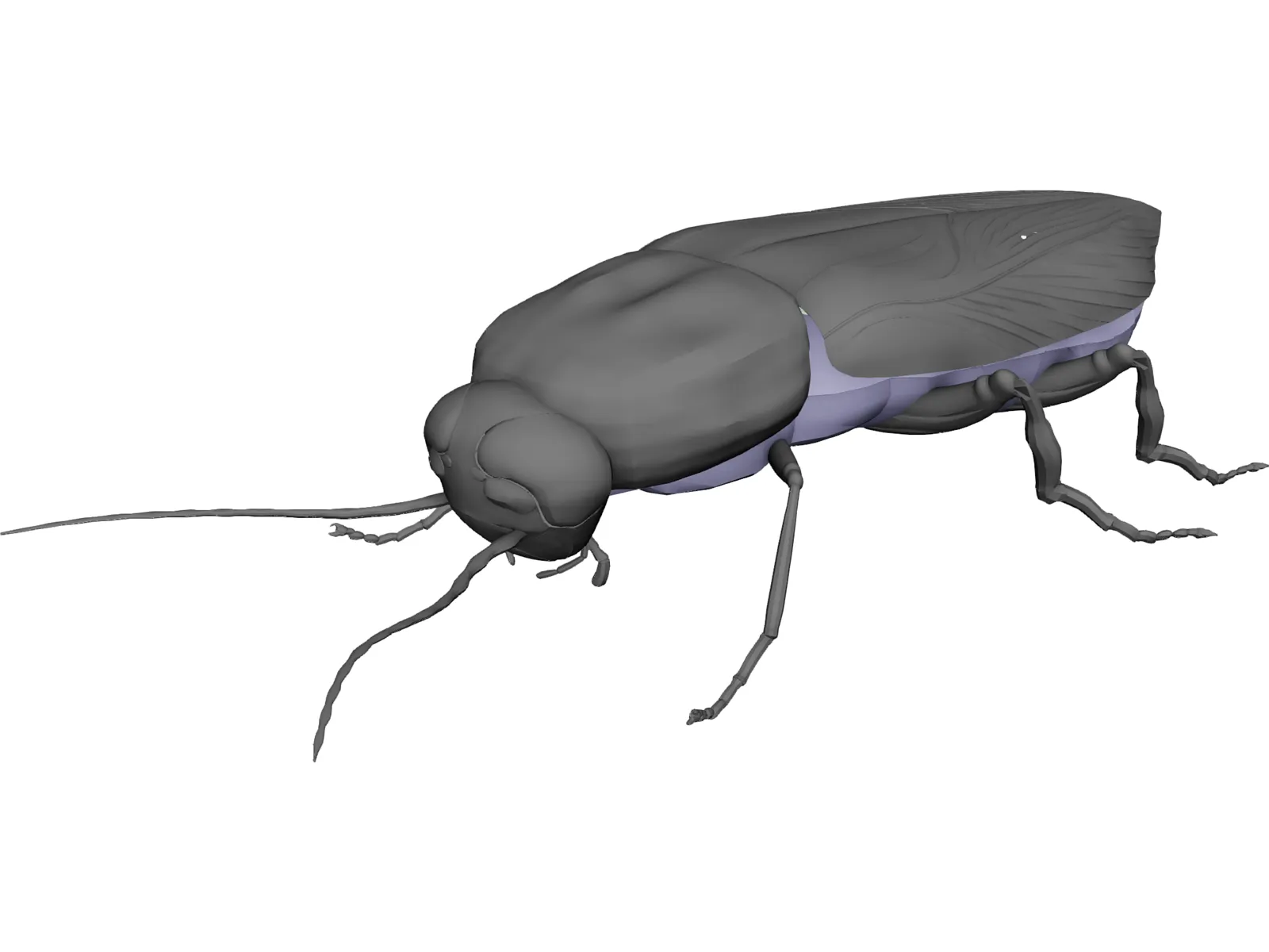 Firebeetle 3D Model main preview