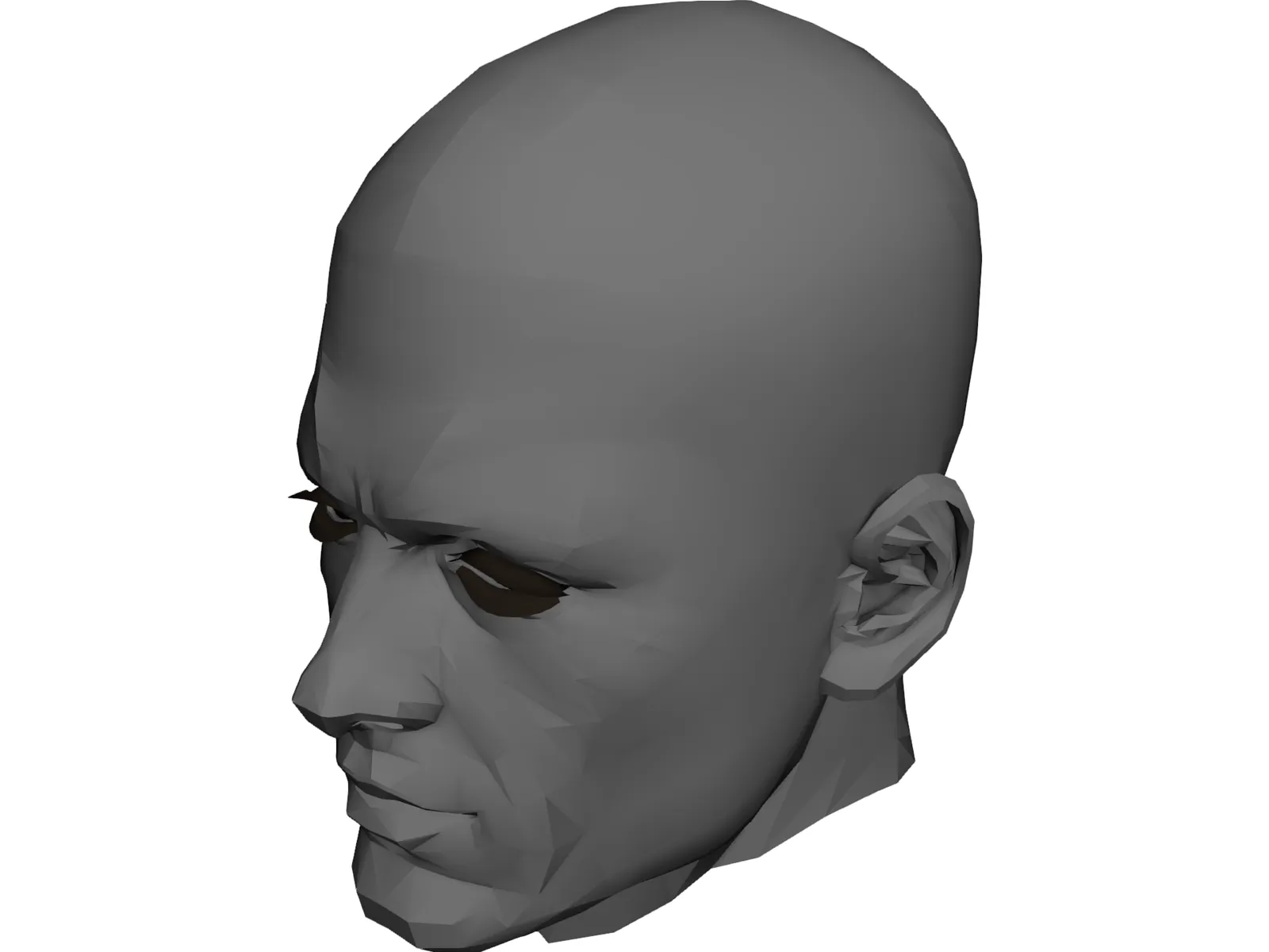 Male Adult Head 3D Model main preview