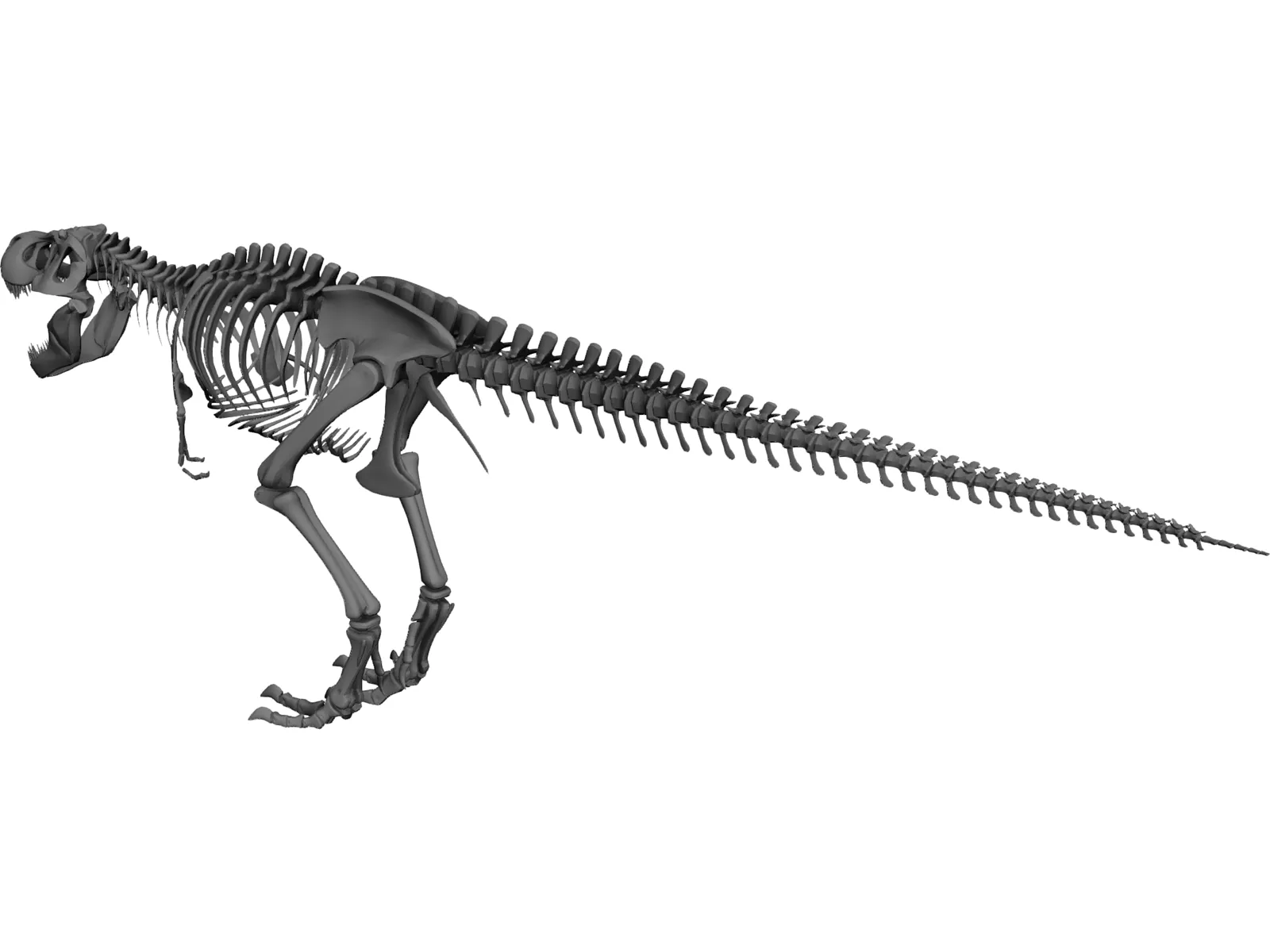 Tyrannosaurus Rex Skeleton 3D Model main preview