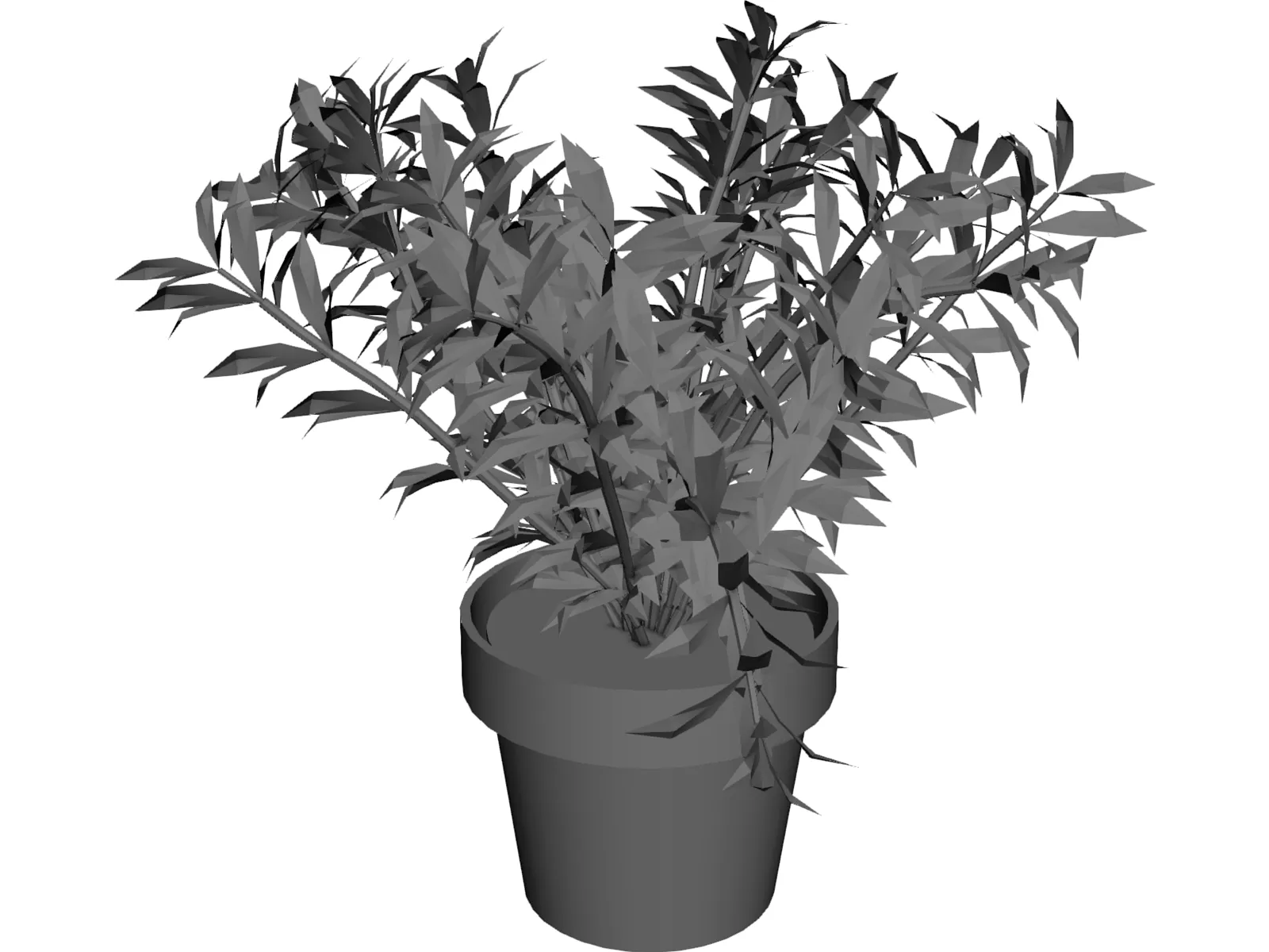 Albero 3D Model main preview