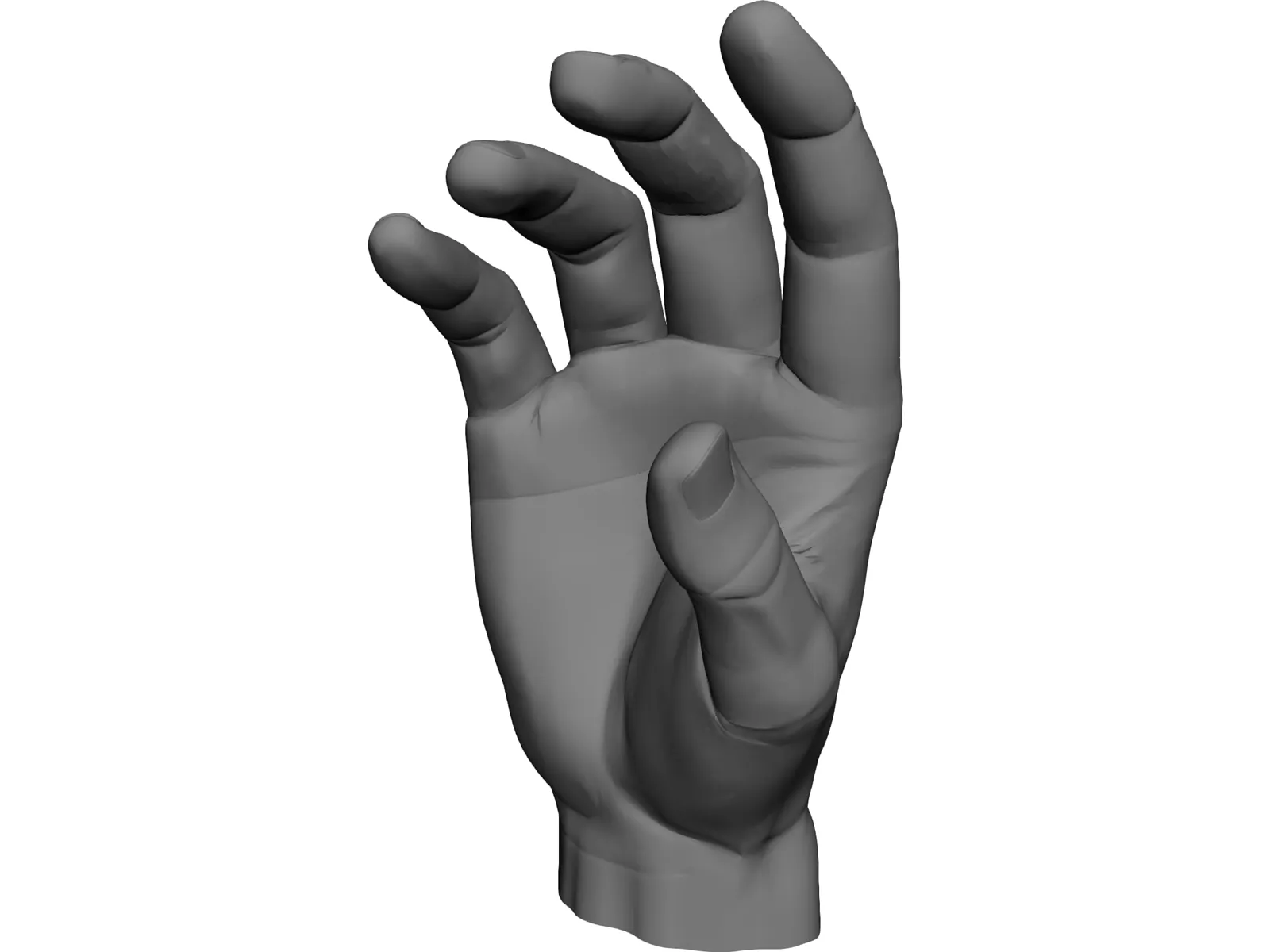 Hand 3D Model main preview