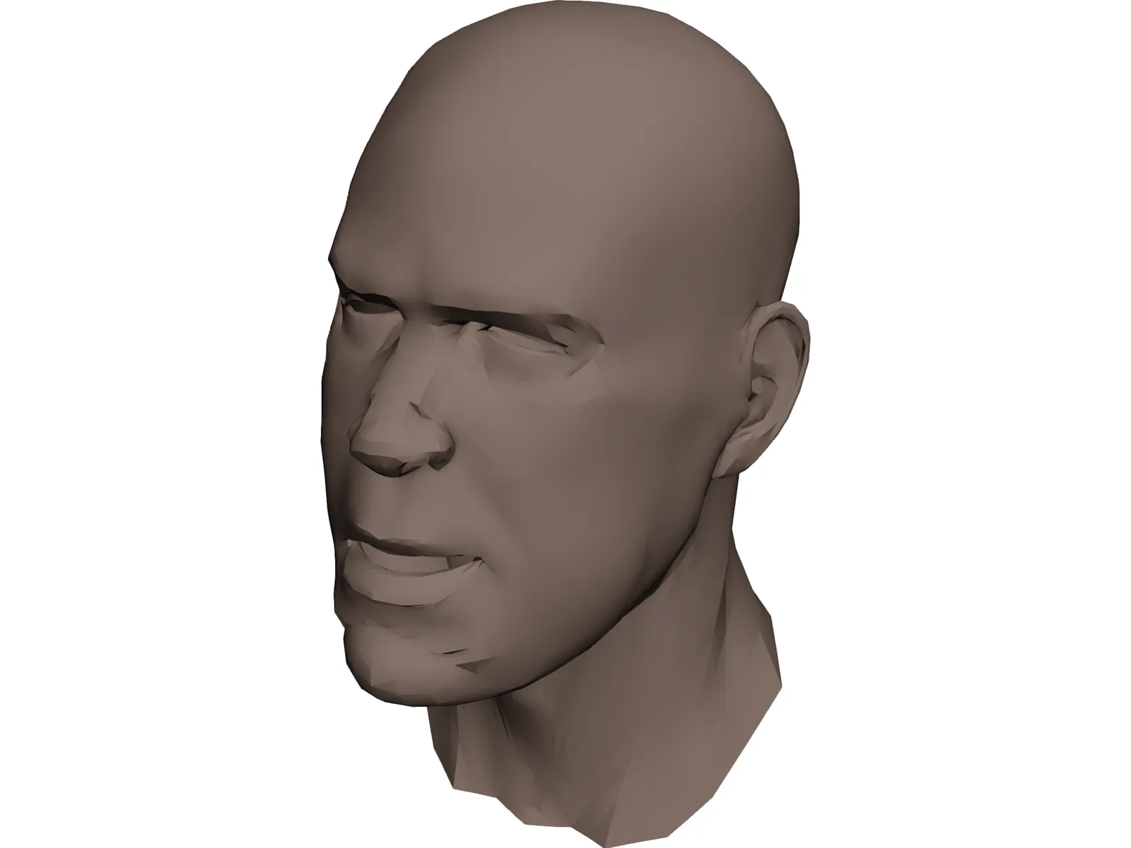 Human Head Face 3D Model main preview