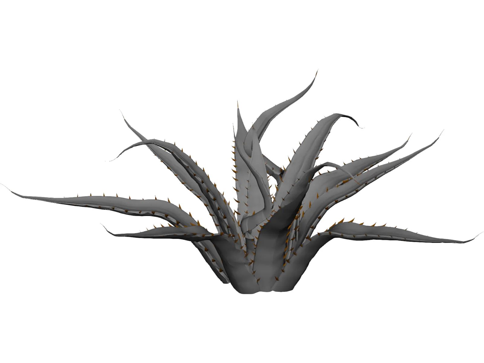 Agave Americana Marginata 3D Model main preview