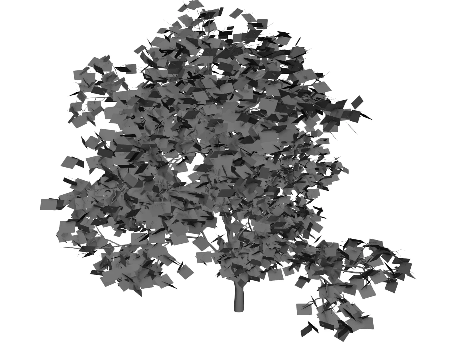 Acer Palmatum 3D Model main preview