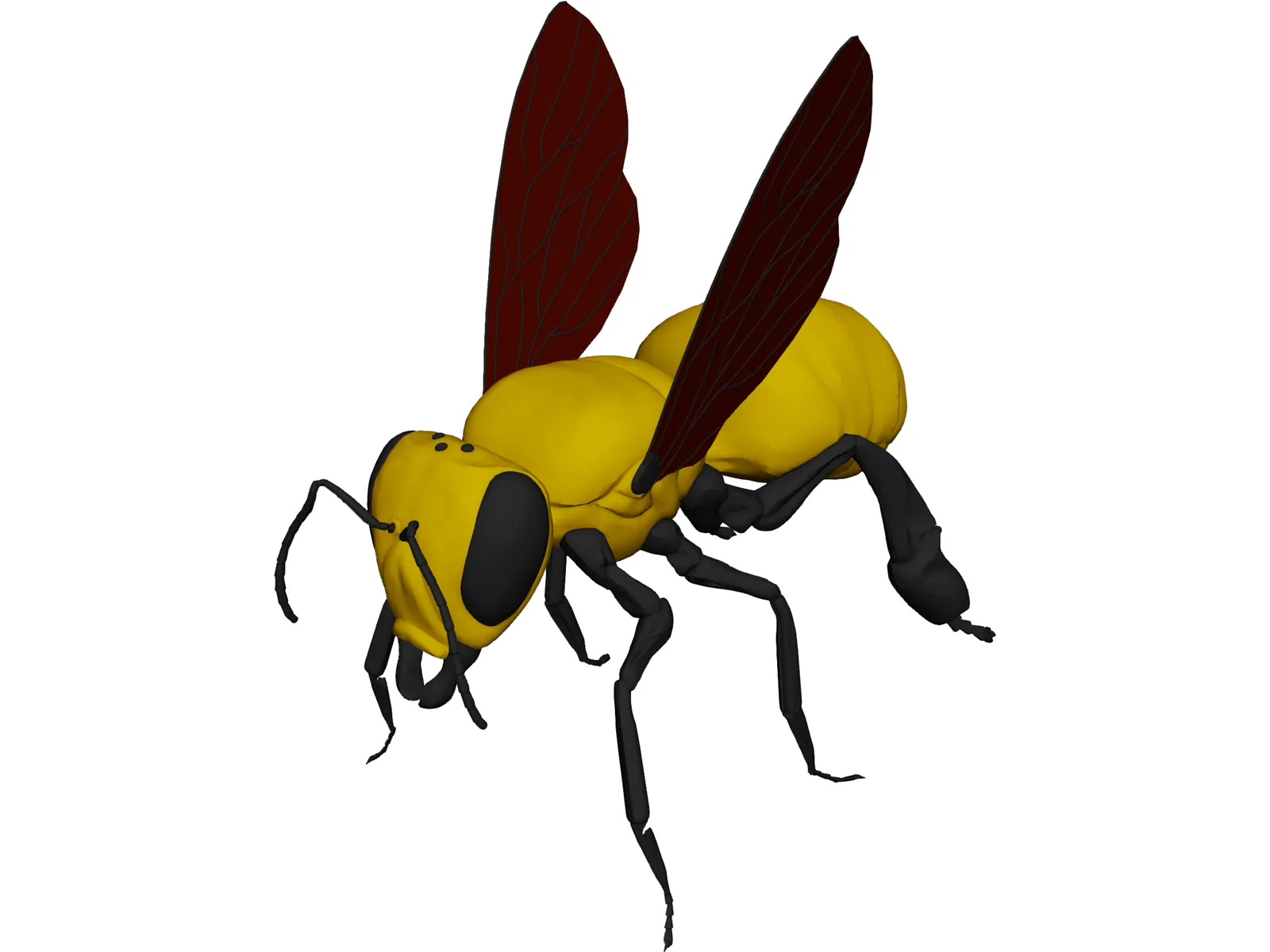 Bee 3D Model main preview