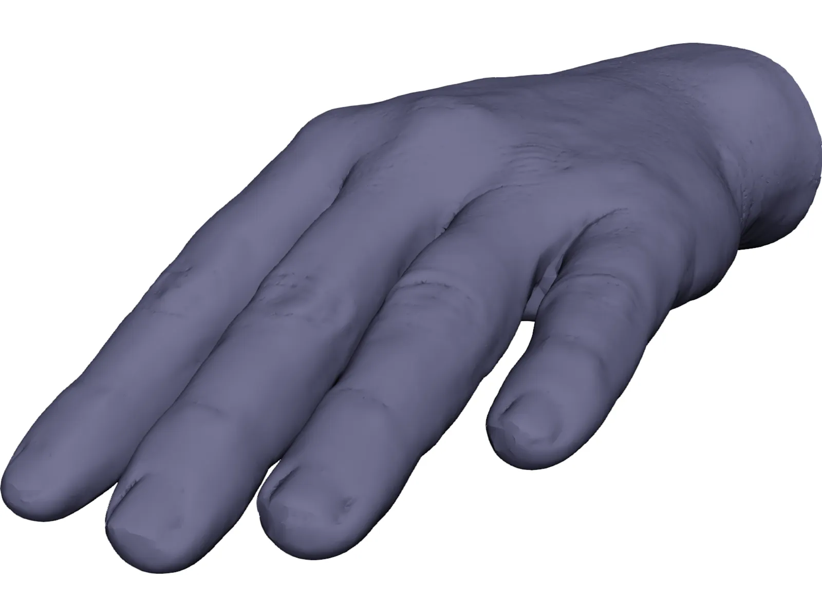 Hand Left 3D Model main preview