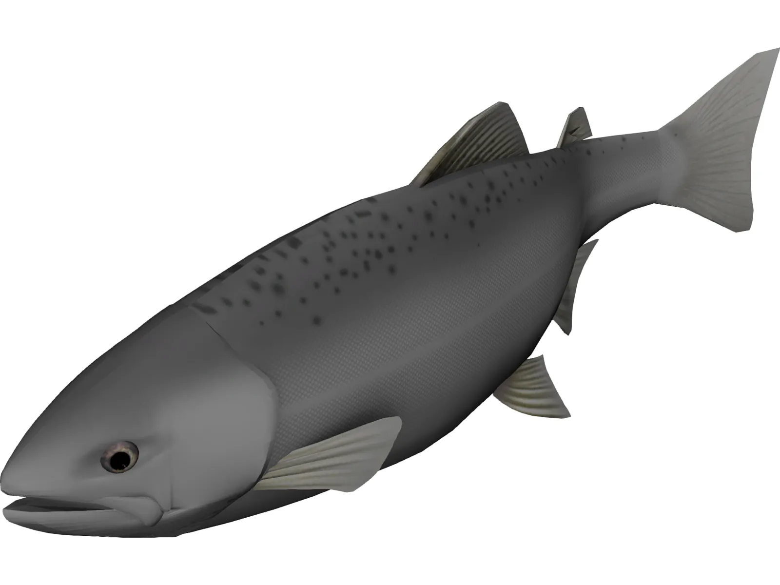 Happy Fish 3D Model main preview